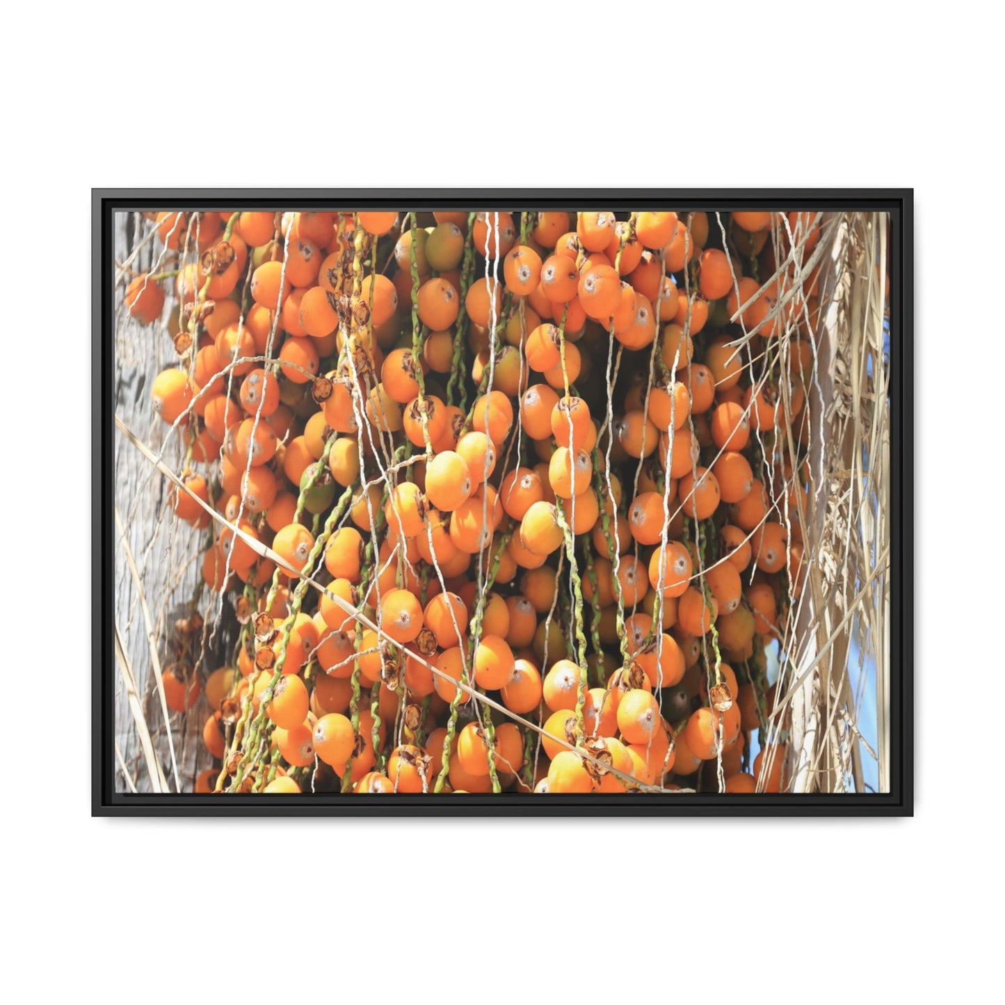 Clusters of Sunlight - Unique Canvas Wall Art