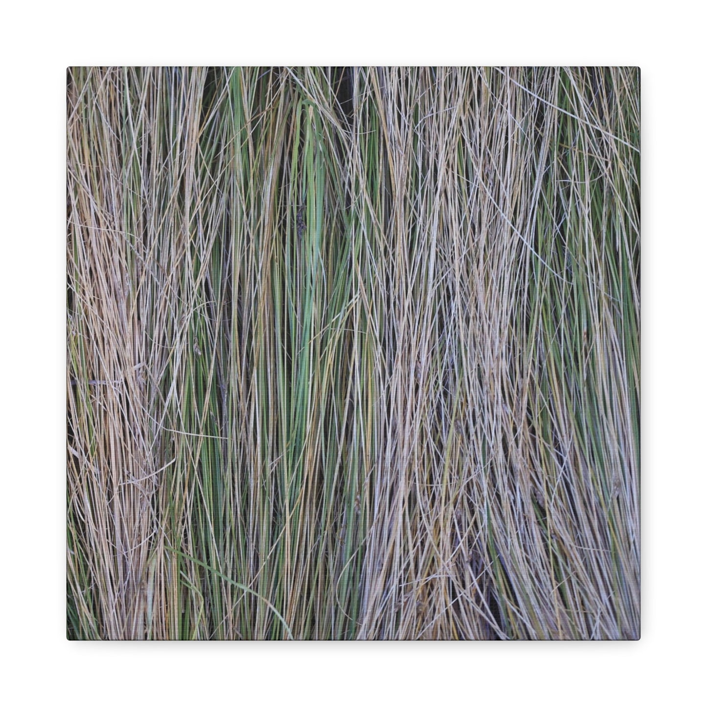 Whispers of Grass - Unique Frameless Canvas Wall Art