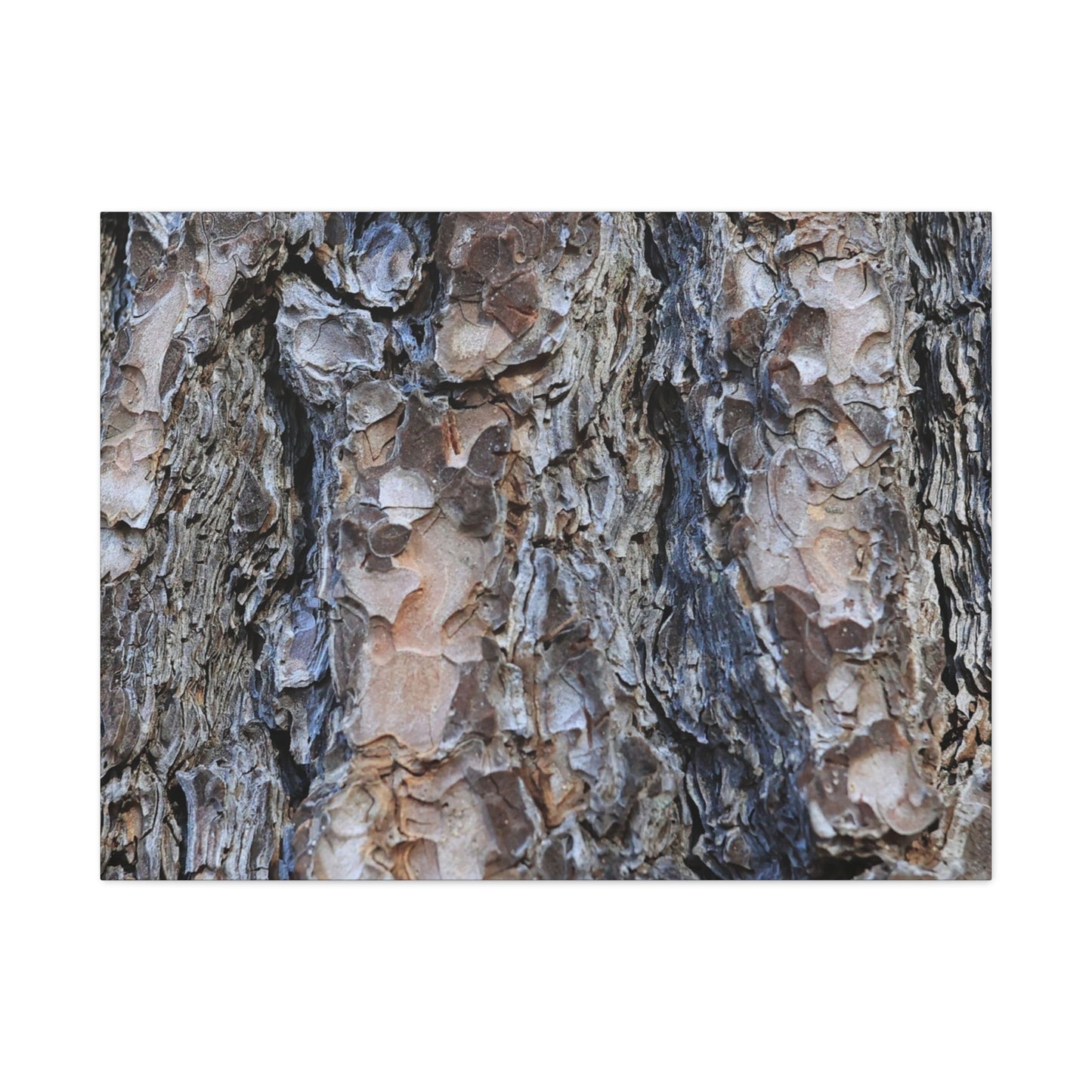 Arboreal Patterns - Unique Frameless Canvas Wall Art