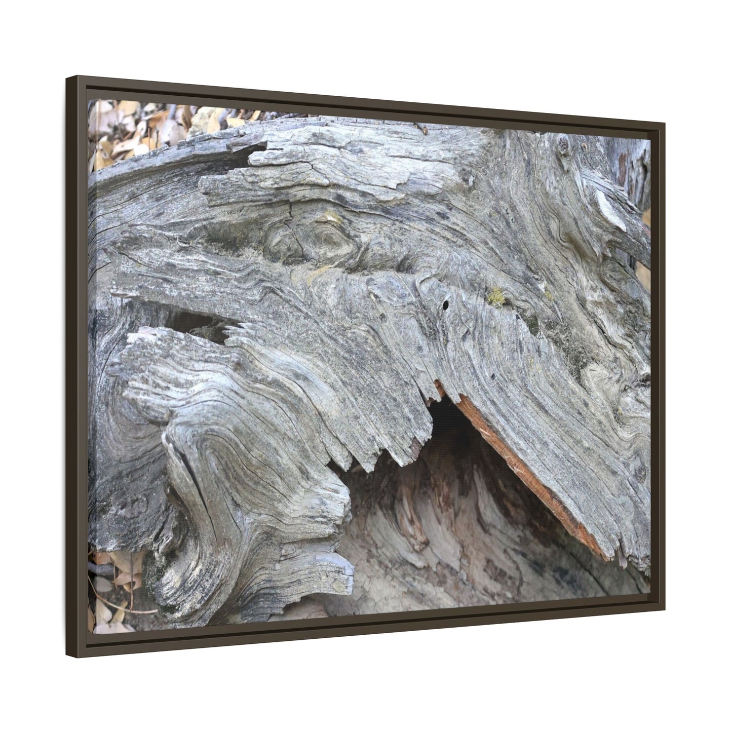 Driftwood Dreams - Unique Stretched Canvas Wall Art