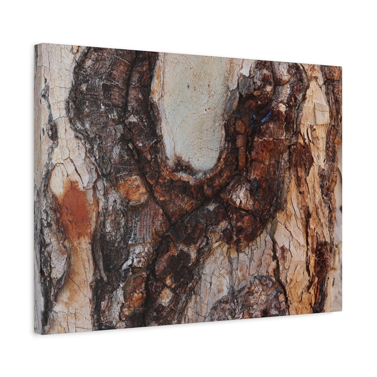 Arboreal Echoes - Unique Frameless Canvas Wall Art
