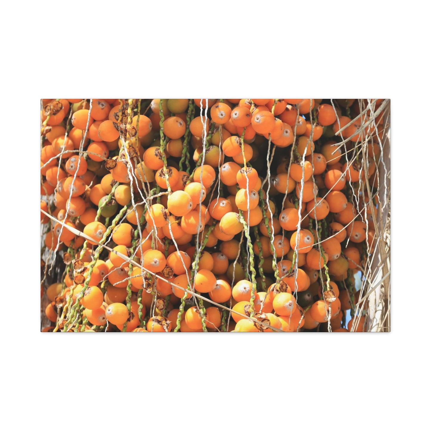 Orange Harvest - Unique Frameless Canvas Wall Art