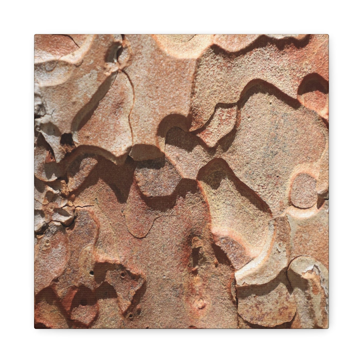 Terracotta Echoes - Unique Frameless Canvas Wall Art