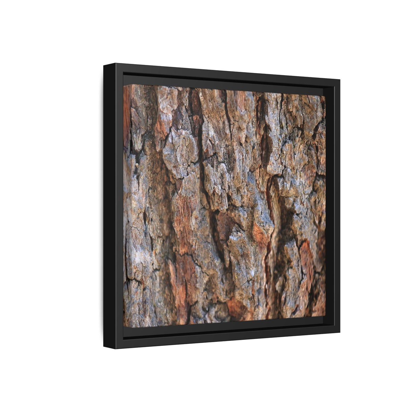 Craggy Textures - Unique Stretched Canvas Wall Art
