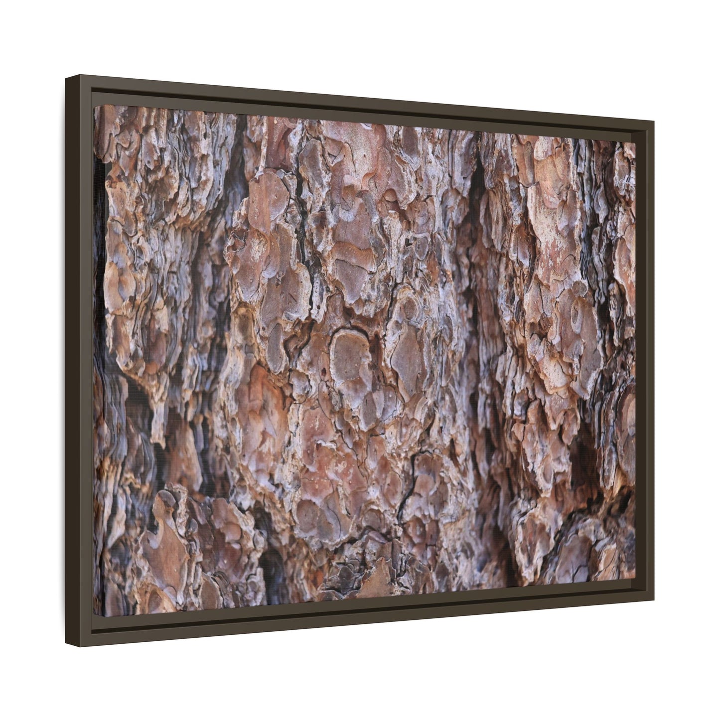 Woody Layers - Unique Stretched Canvas Wall Art