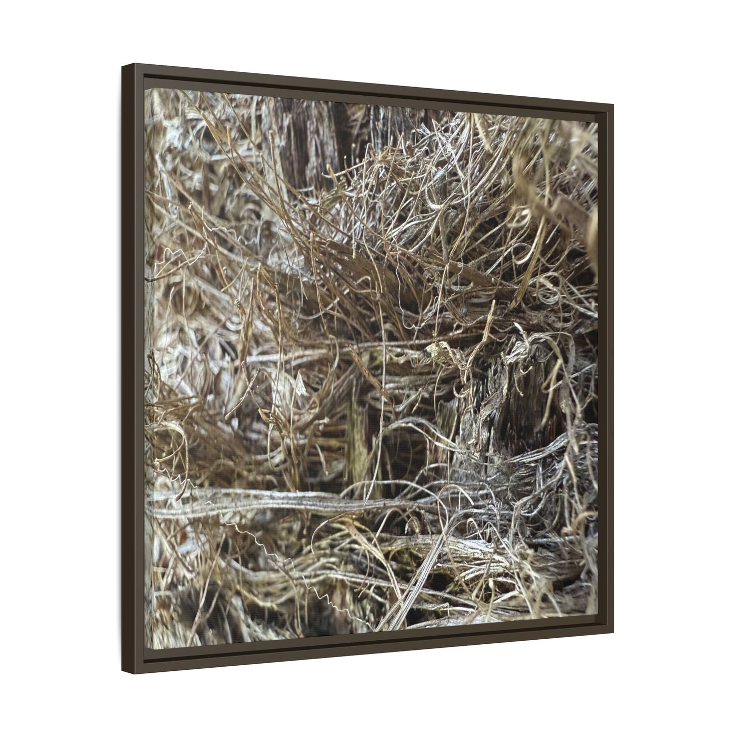 Tangled Whispers of Autumn - Unique Stretched Canvas Wall Art