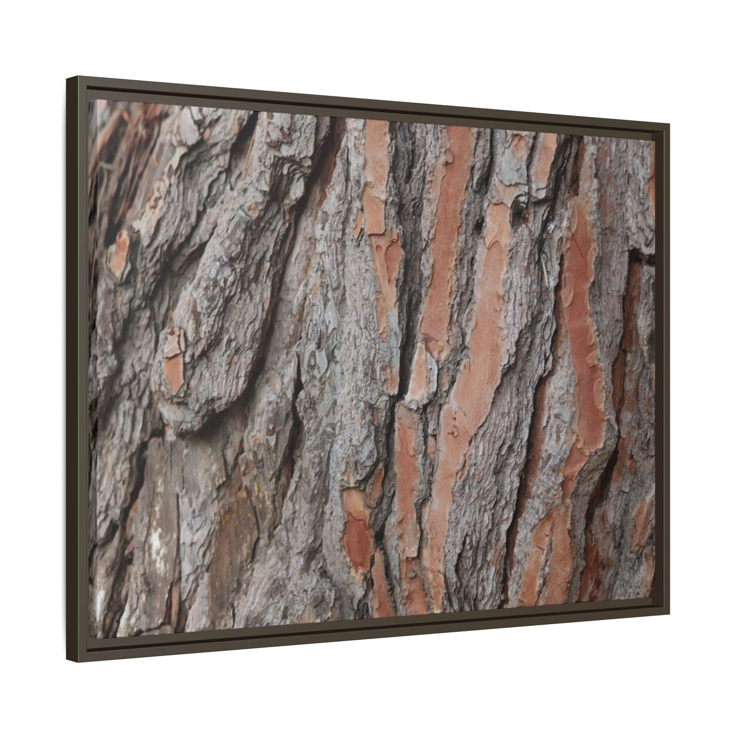 Woodland Layers - Unique Stretched Canvas Wall Art