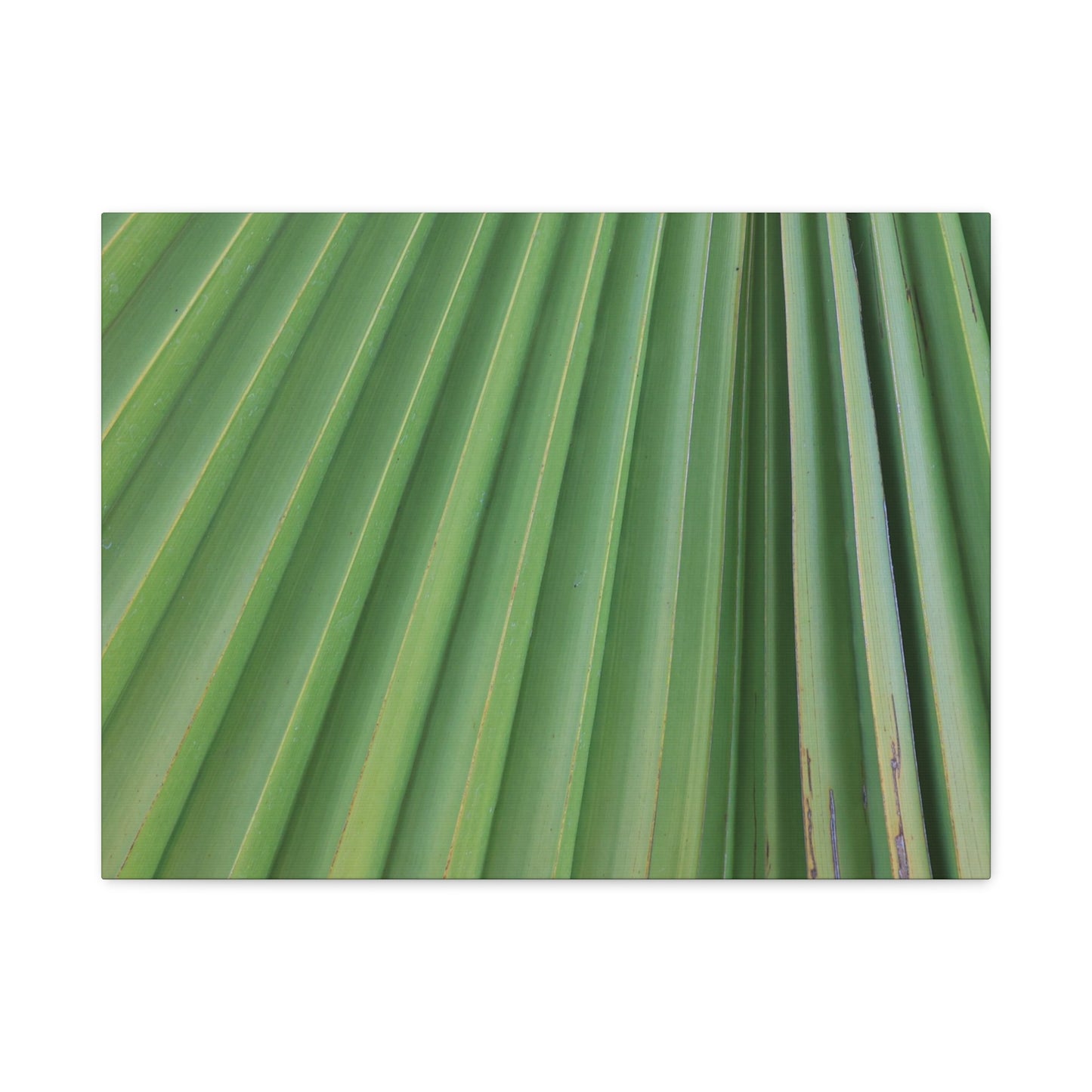 Palm Pulse - Unique Frameless Canvas Wall Art