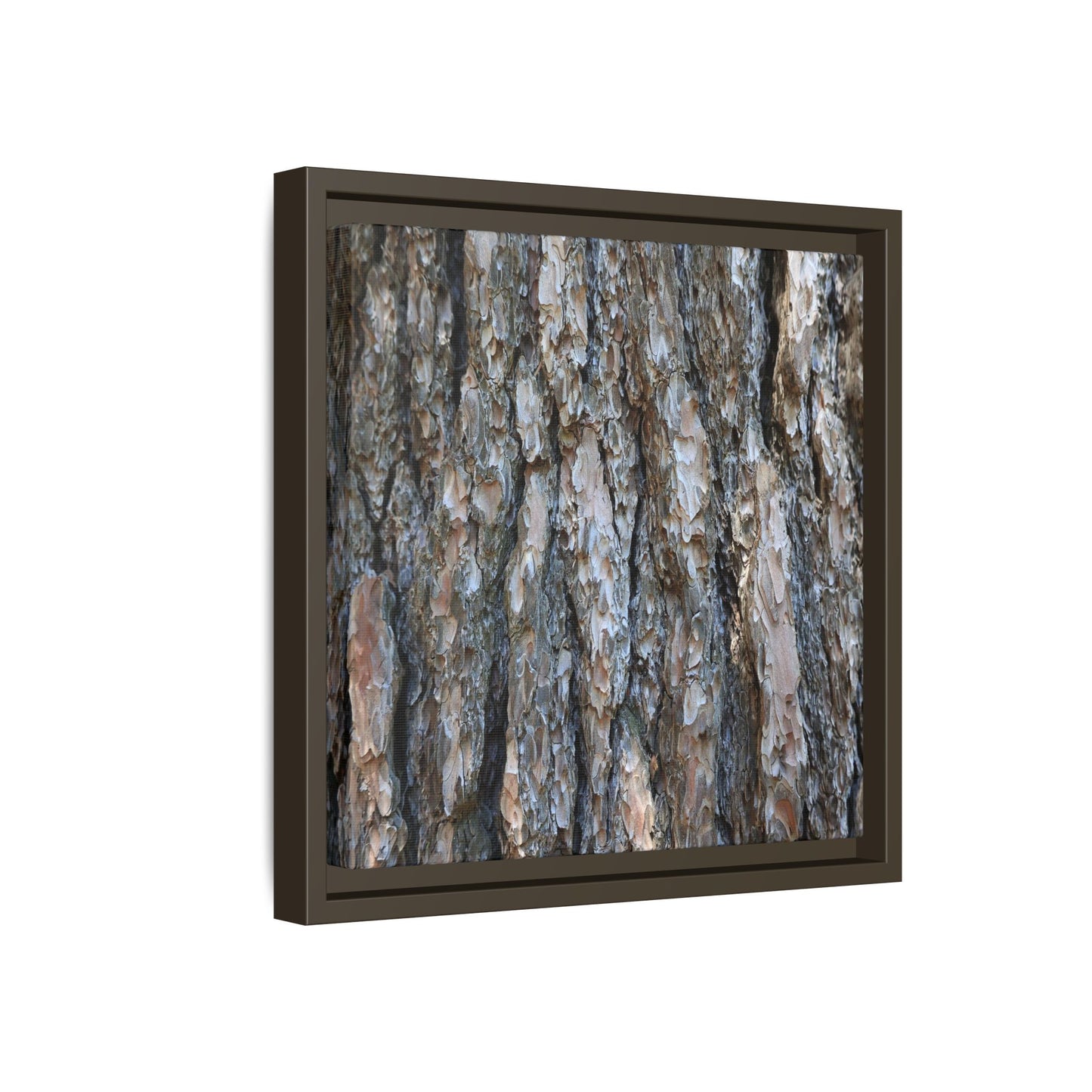 Bark Whispers - Unique Stretched Canvas Wall Art