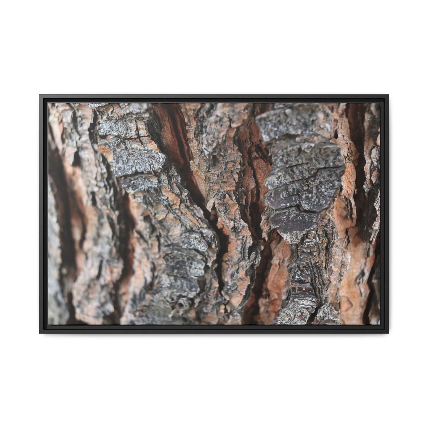 Fractured Nature - Unique Stretched Canvas Wall Art