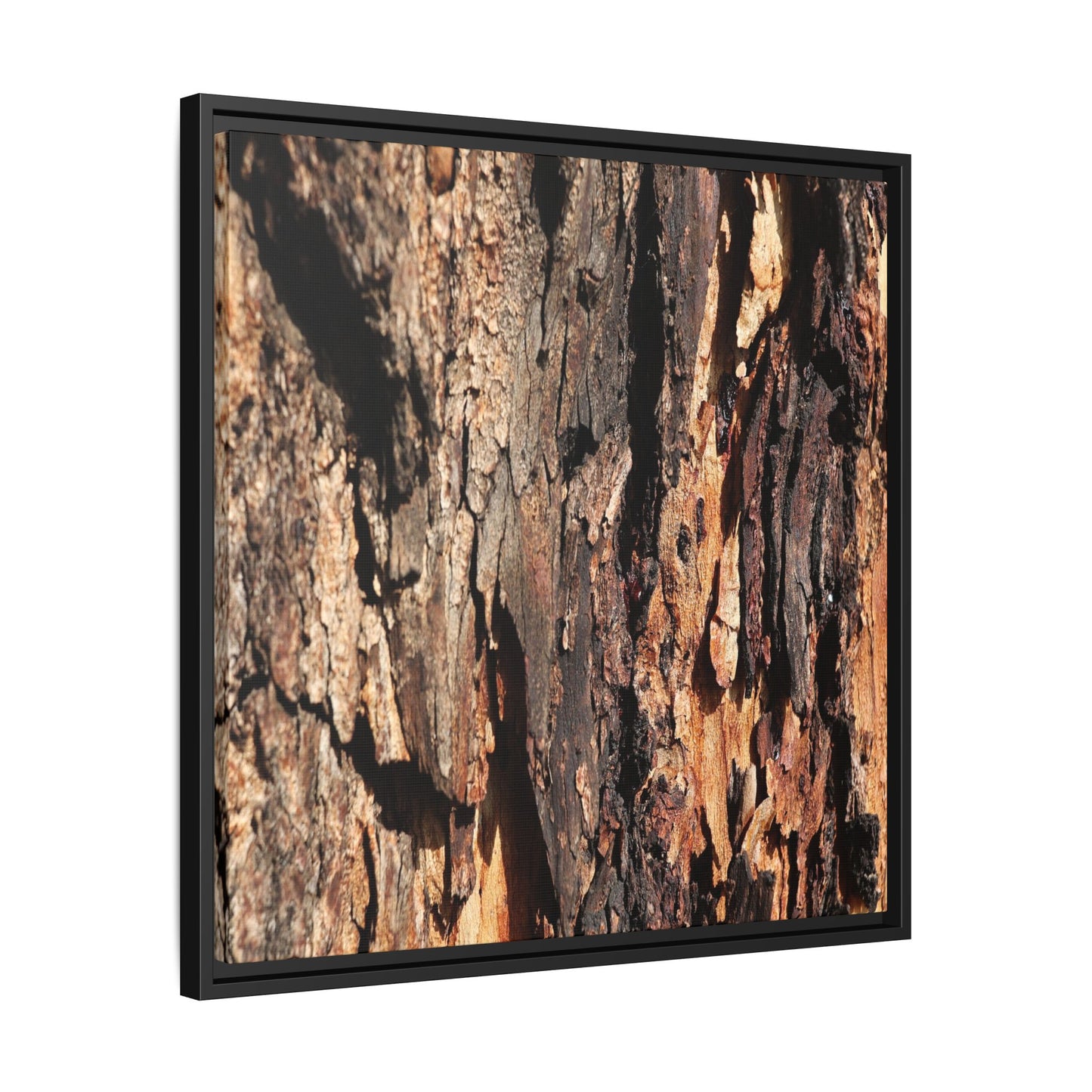 Rugged Beauty - Unique Stretched Canvas Wall Art