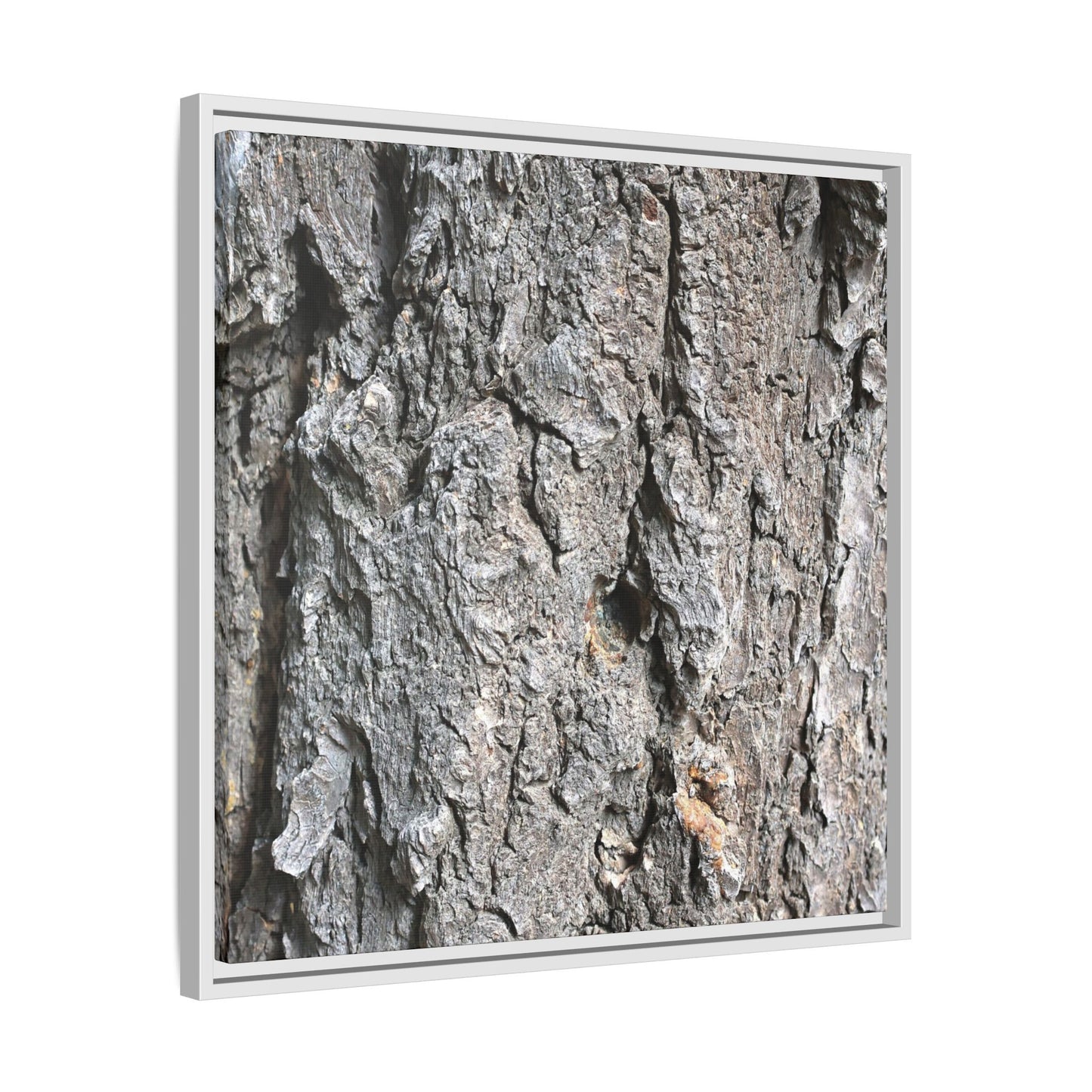 Crusty Exterior - Unique Stretched Canvas Wall Art