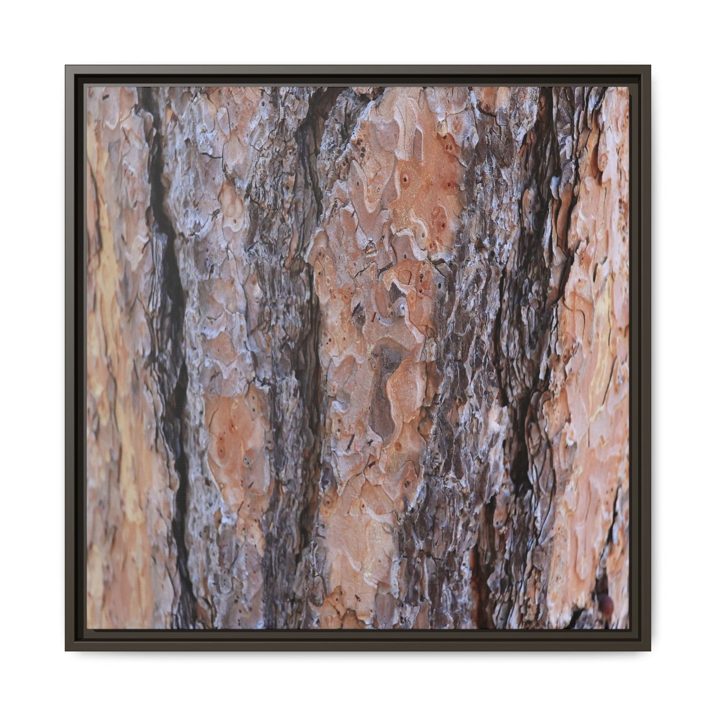 Earthy Embrace - Unique Stretched Canvas Wall Art
