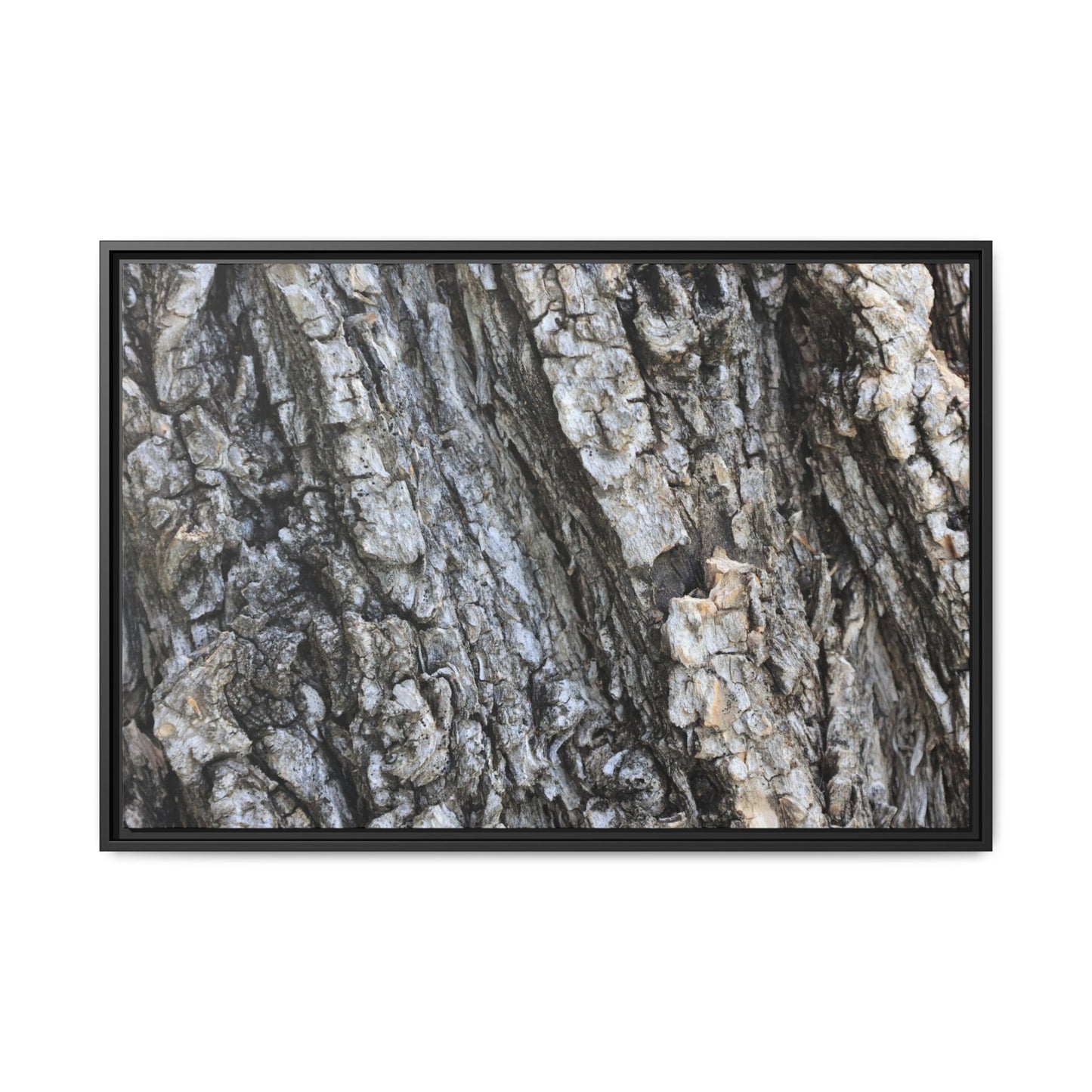 Twisted Textures - Unique Stretched Canvas Wall Art