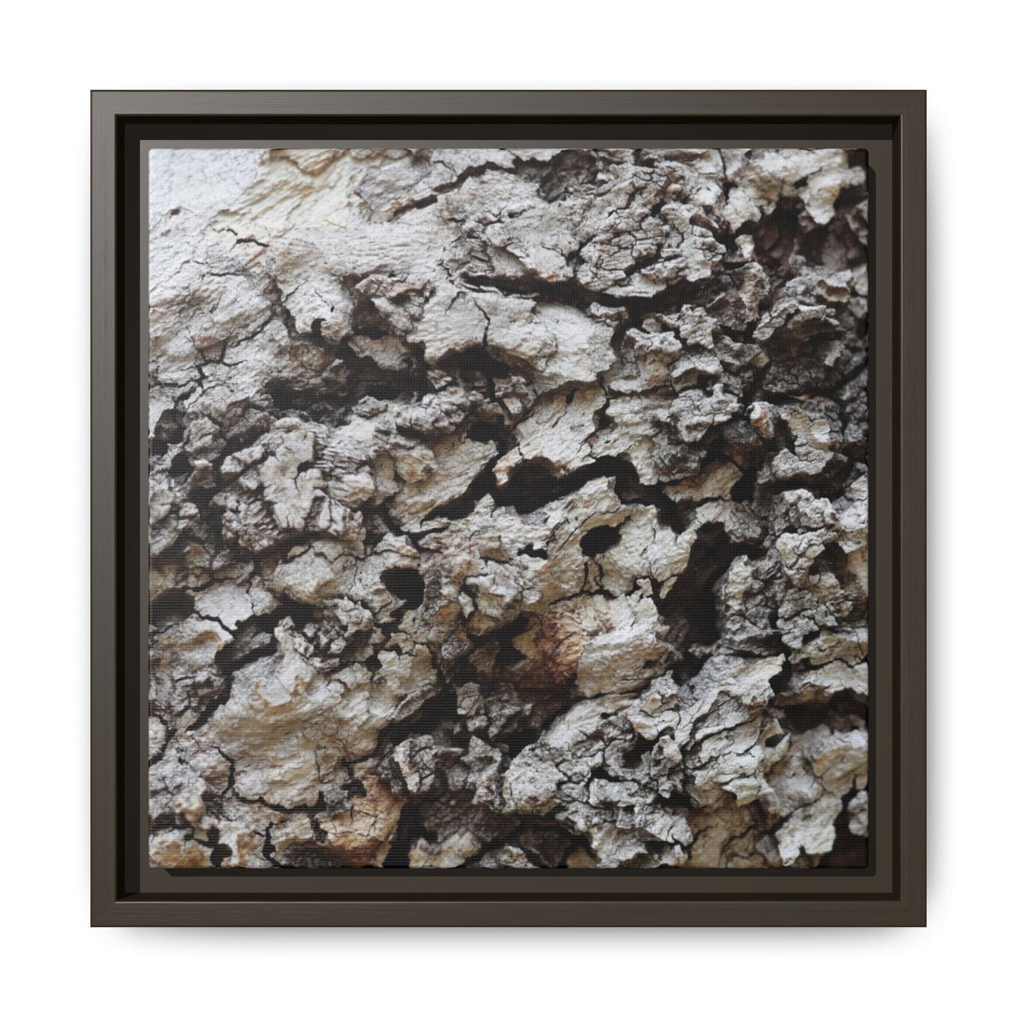Cracked Terrain - Unique Stretched Canvas Wall Art
