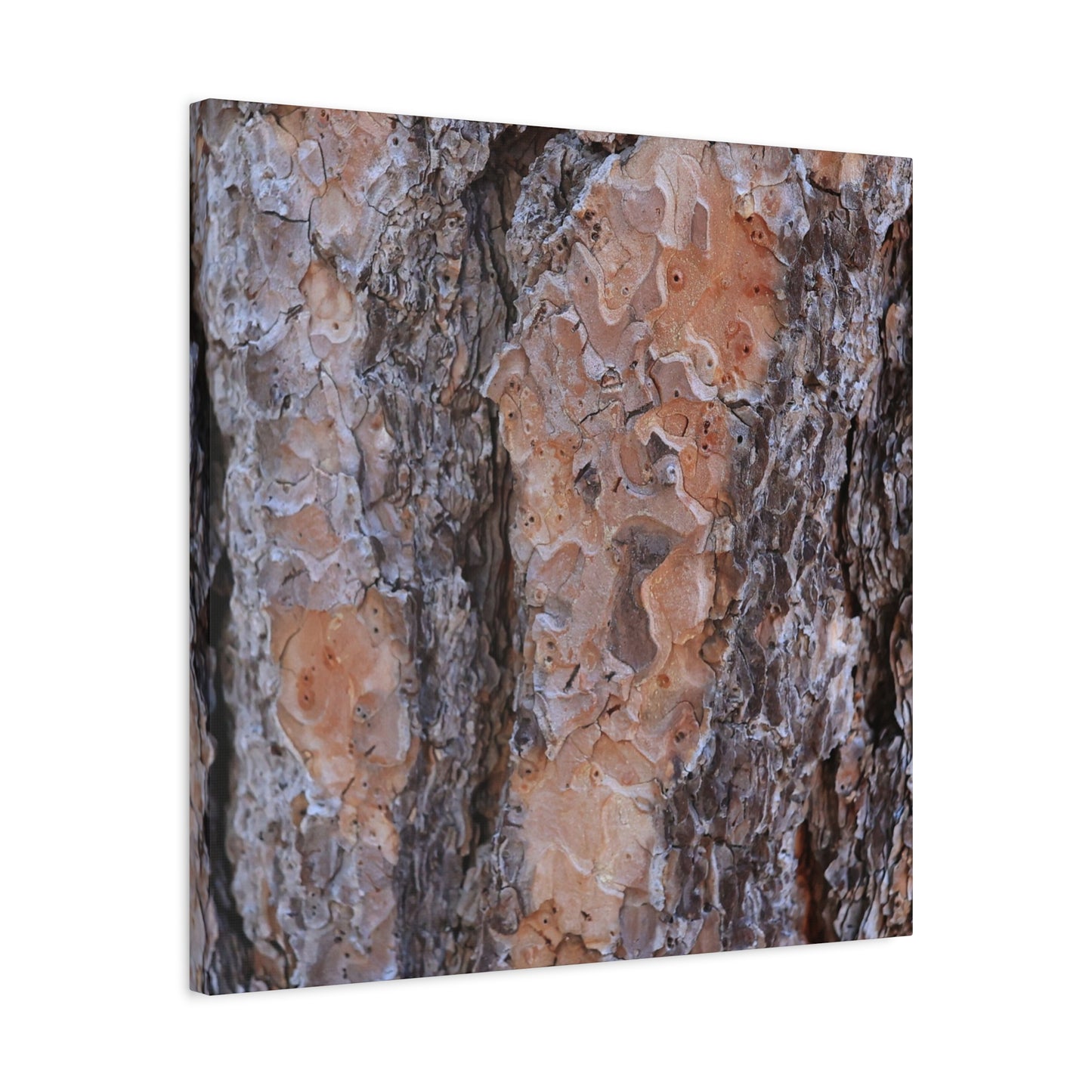 Terracotta Textures - Unique Frameless Canvas Wall Art