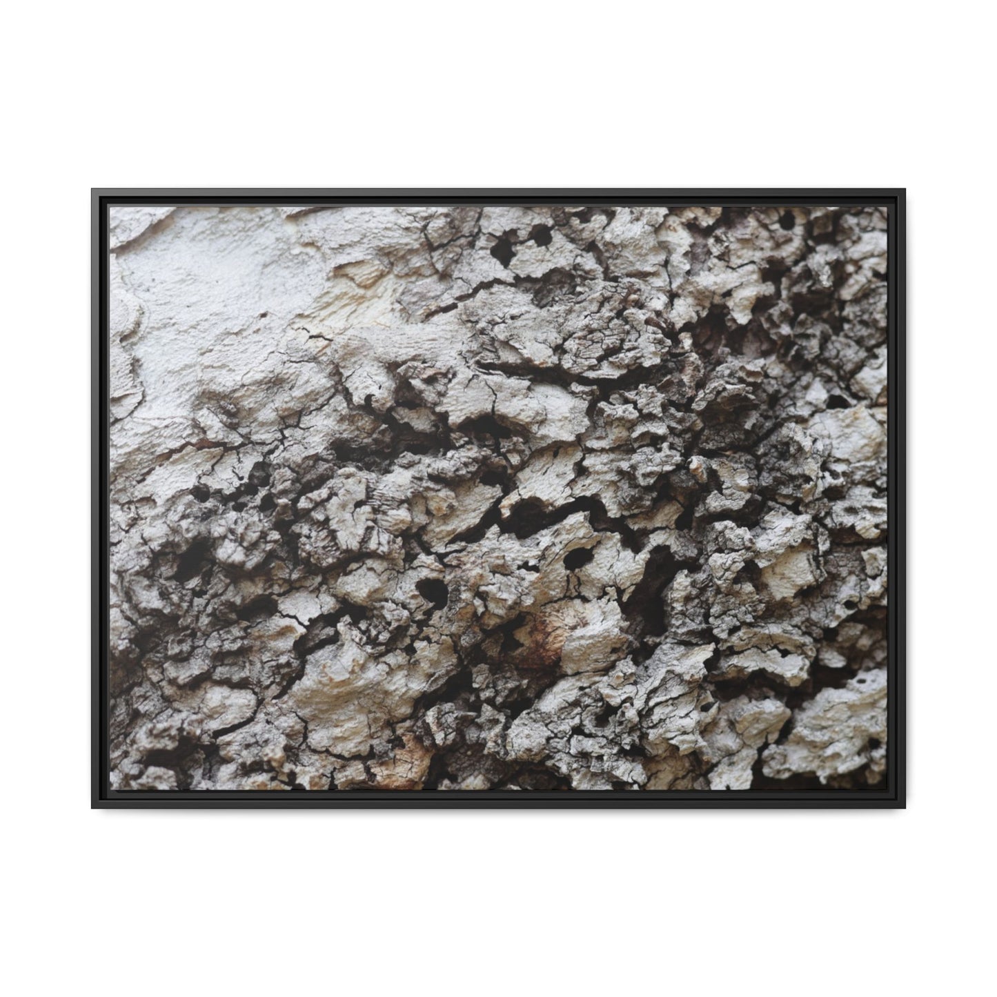 Cracked Terrain - Unique Stretched Canvas Wall Art