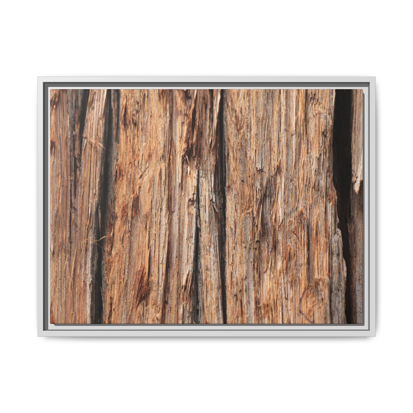 Timber Echoes - Unique Stretched Canvas Wall Art