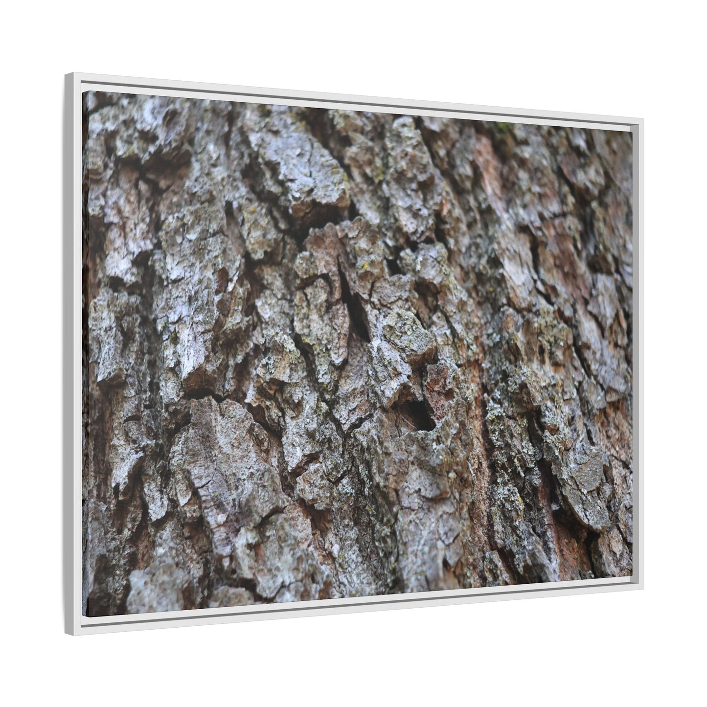 Woodland Canvas - Unique Stretched Canvas Wall Art