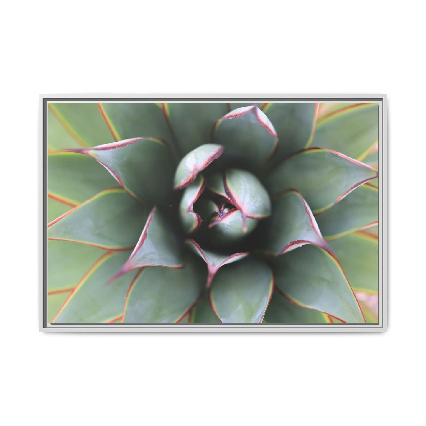 Spiky Elegance - Unique Stretched Canvas Wall Art