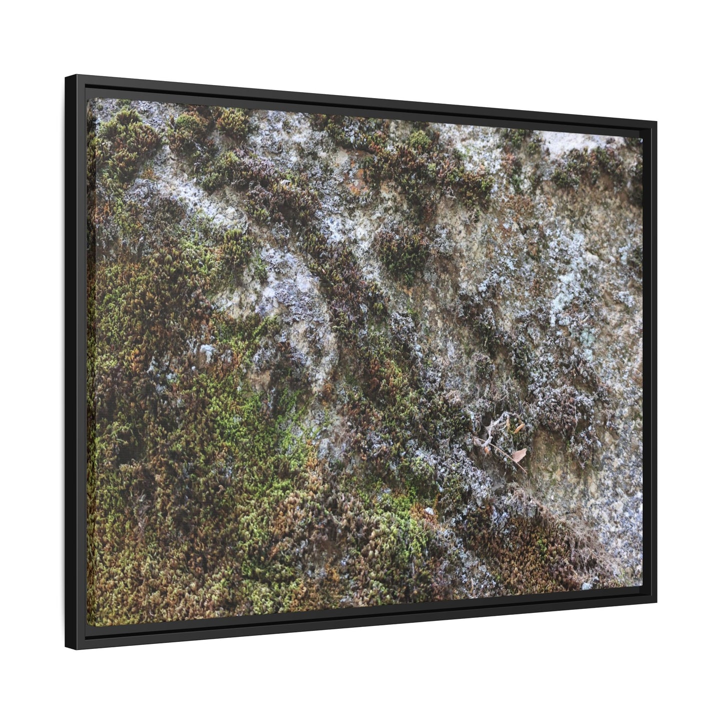 Mossy Whispers - Unique Stretched Canvas Wall Art