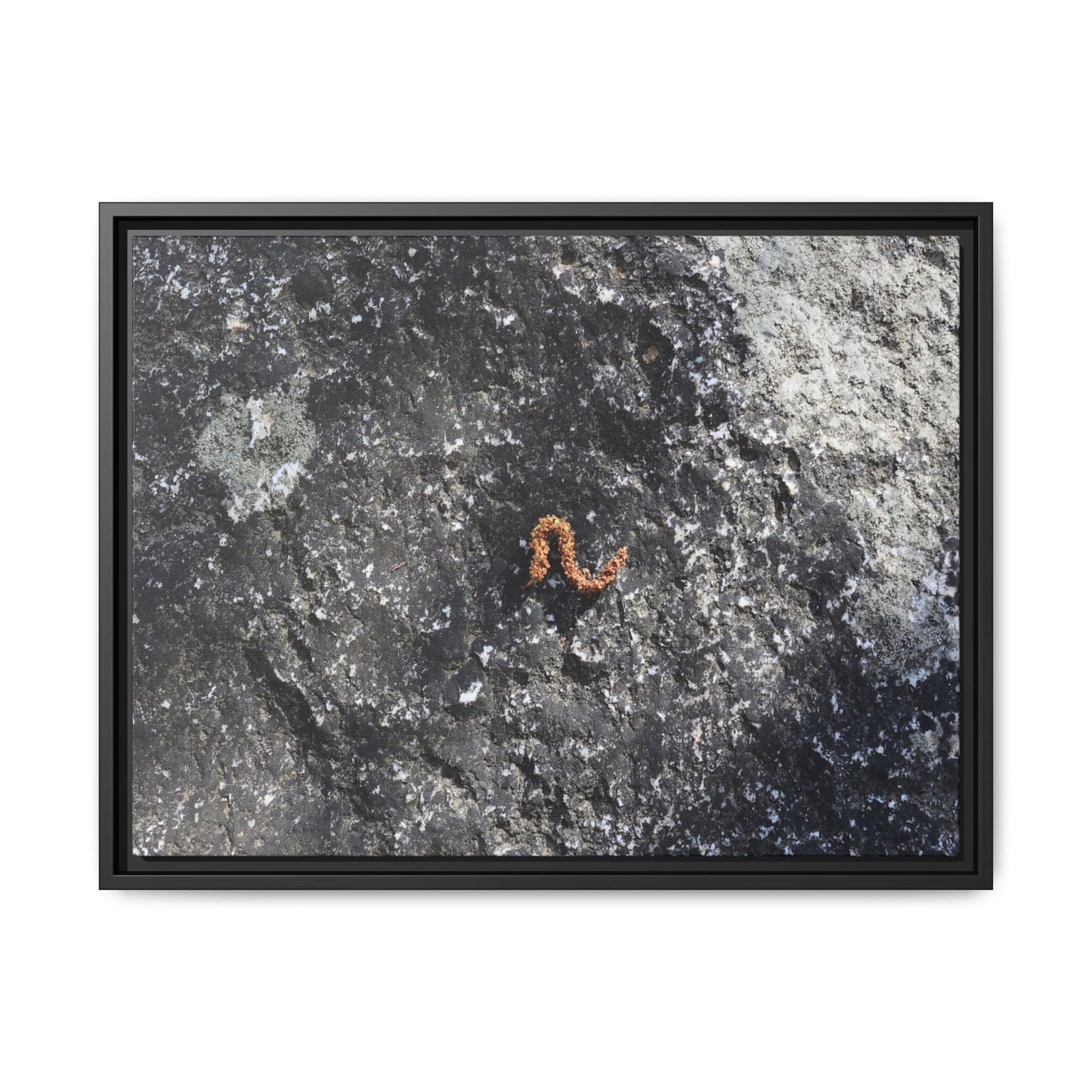 Volcanic Ash and Copper - Unique Stretched Canvas Wall Art