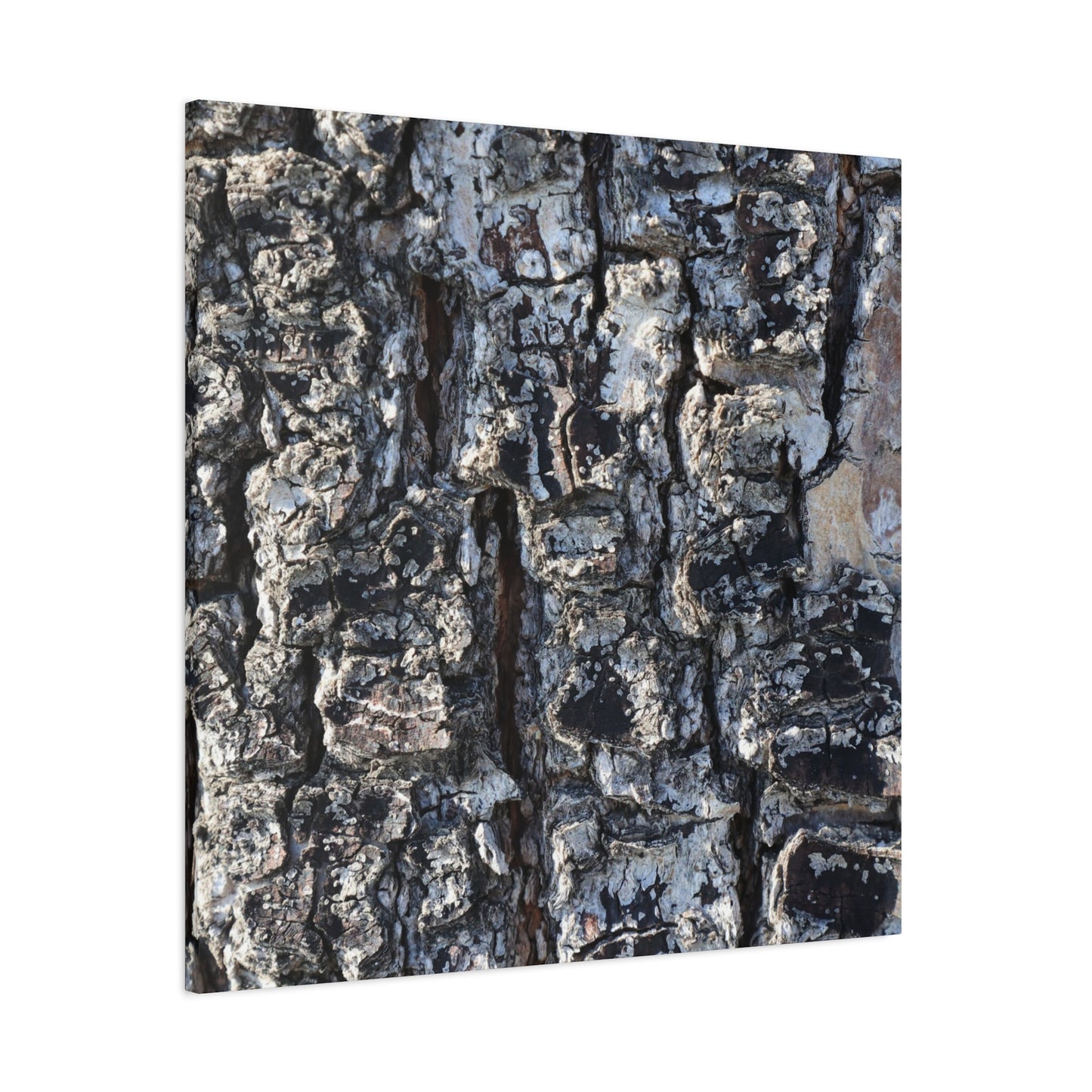 Textured Whispers of the Ancient Tree - Unique Frameless Canvas Wall Art