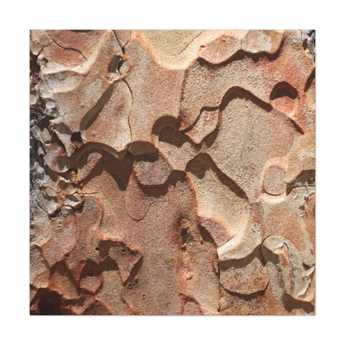 Terracotta Echoes - Unique Frameless Canvas Wall Art
