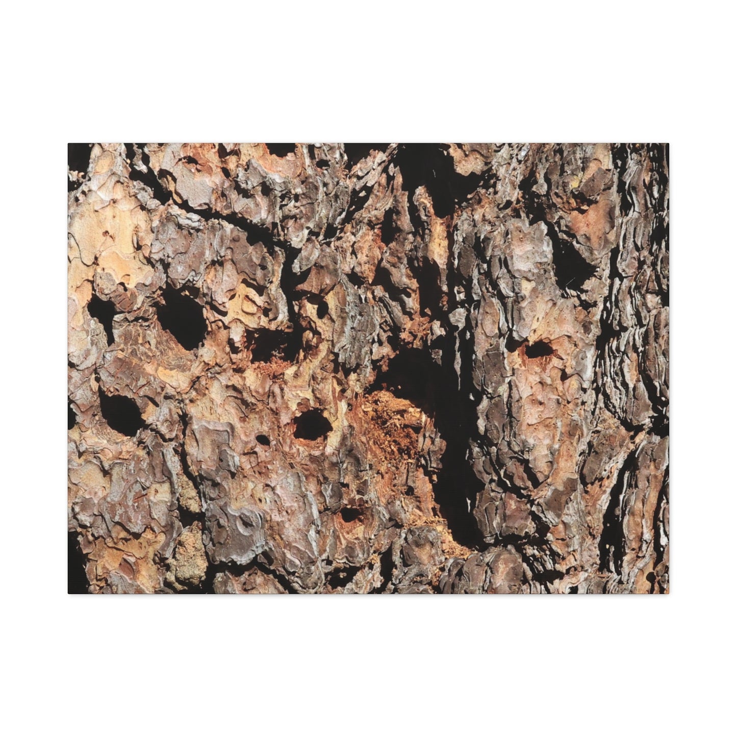 Tree Bark Mosaic - Unique Frameless Canvas Wall Art