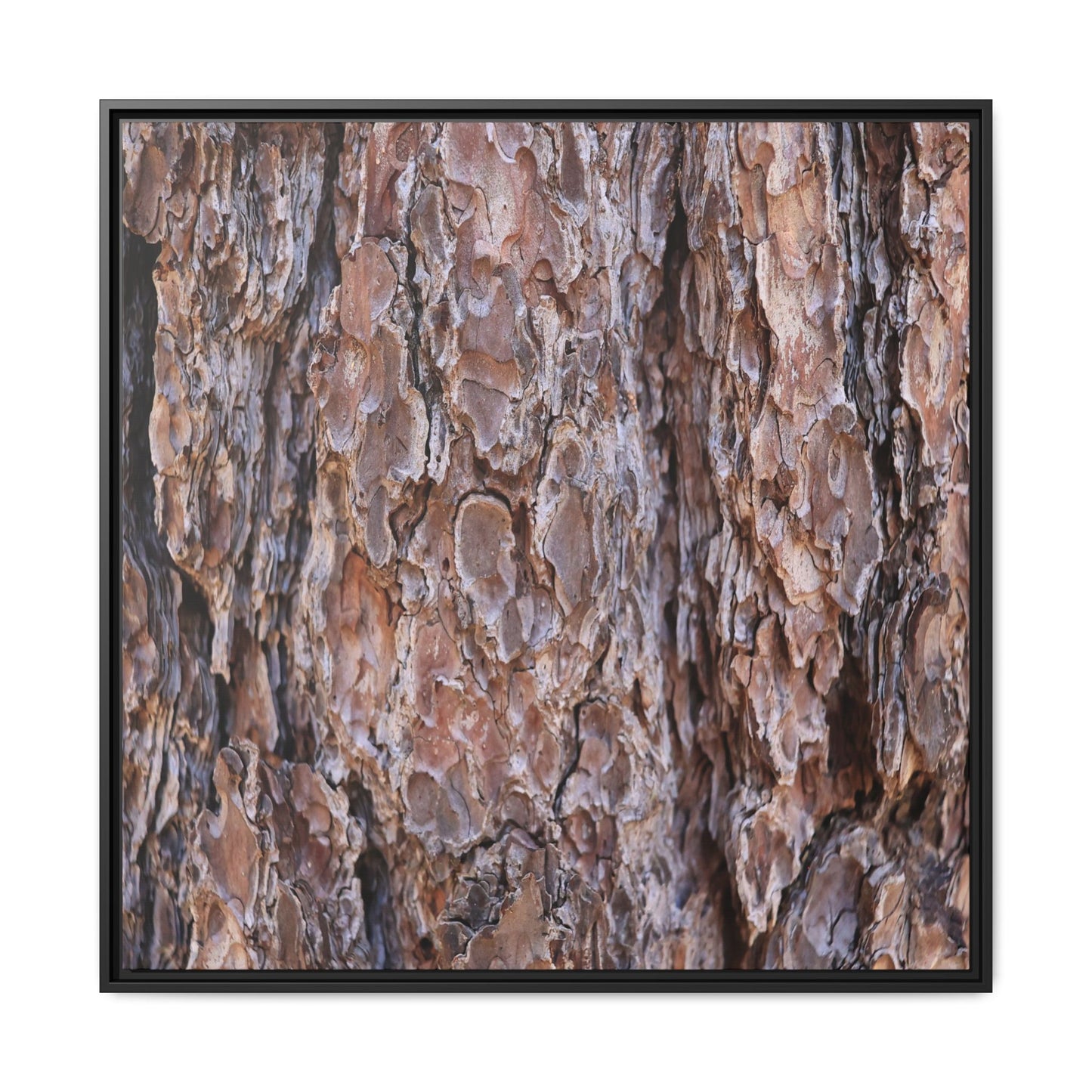 Woody Layers - Unique Stretched Canvas Wall Art