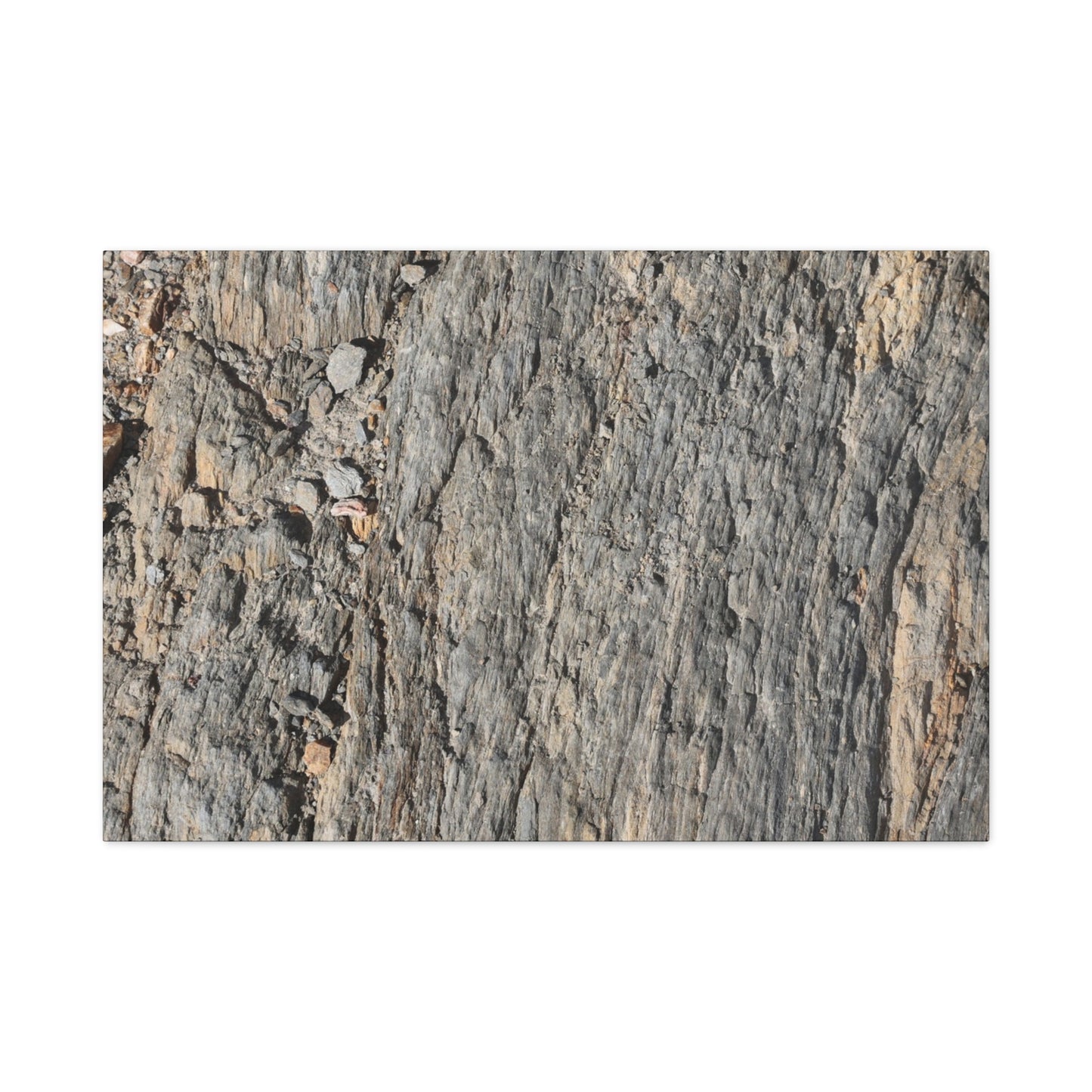 Bark Echoes - Unique Frameless Canvas Wall Art