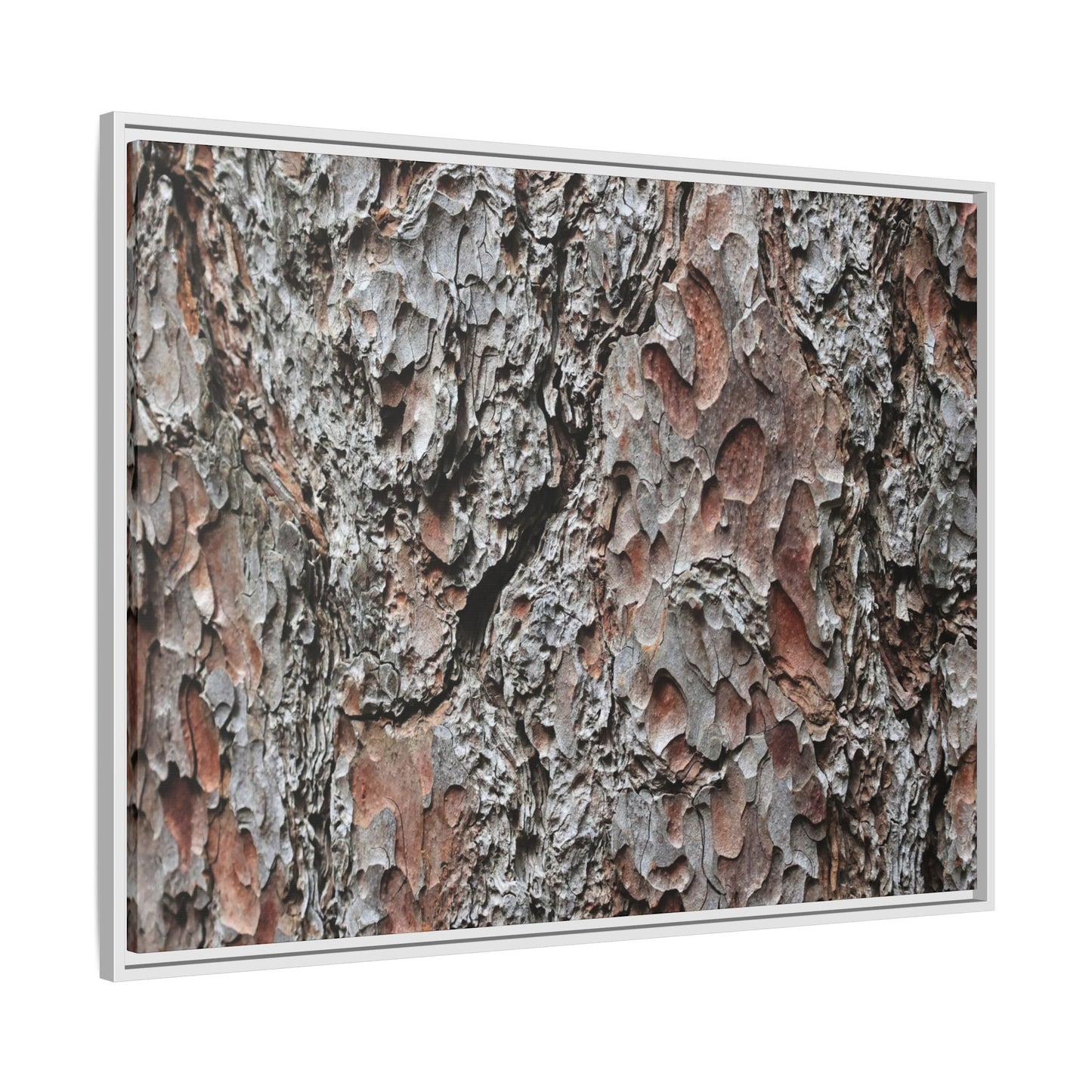 Bark Texture Symphony - Unique Stretched Canvas Wall Art