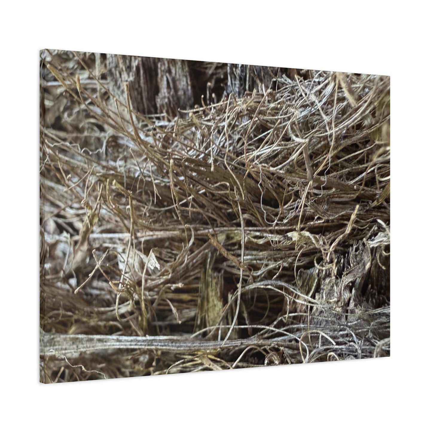 Whispers in Dry Grass - Unique Frameless Canvas Wall Art
