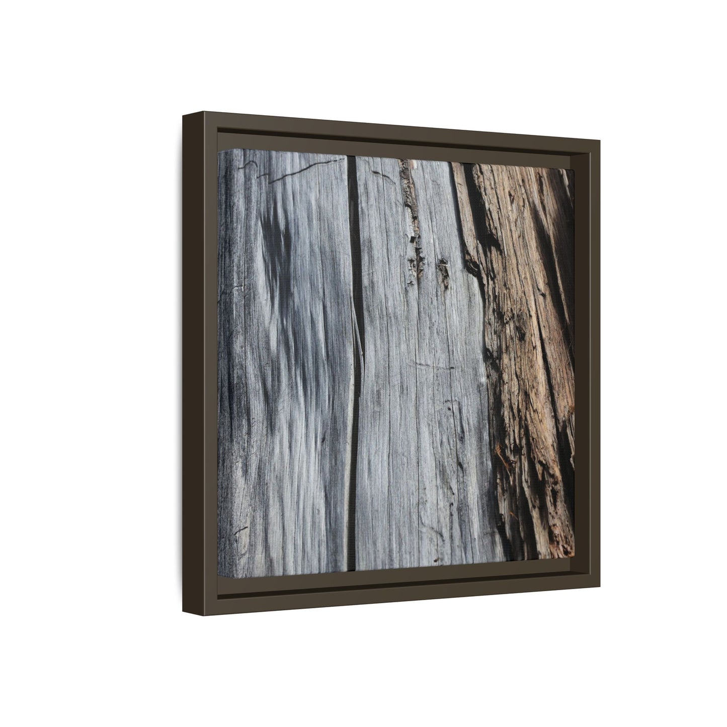 Wood's Lament - Unique Stretched Canvas Wall Art