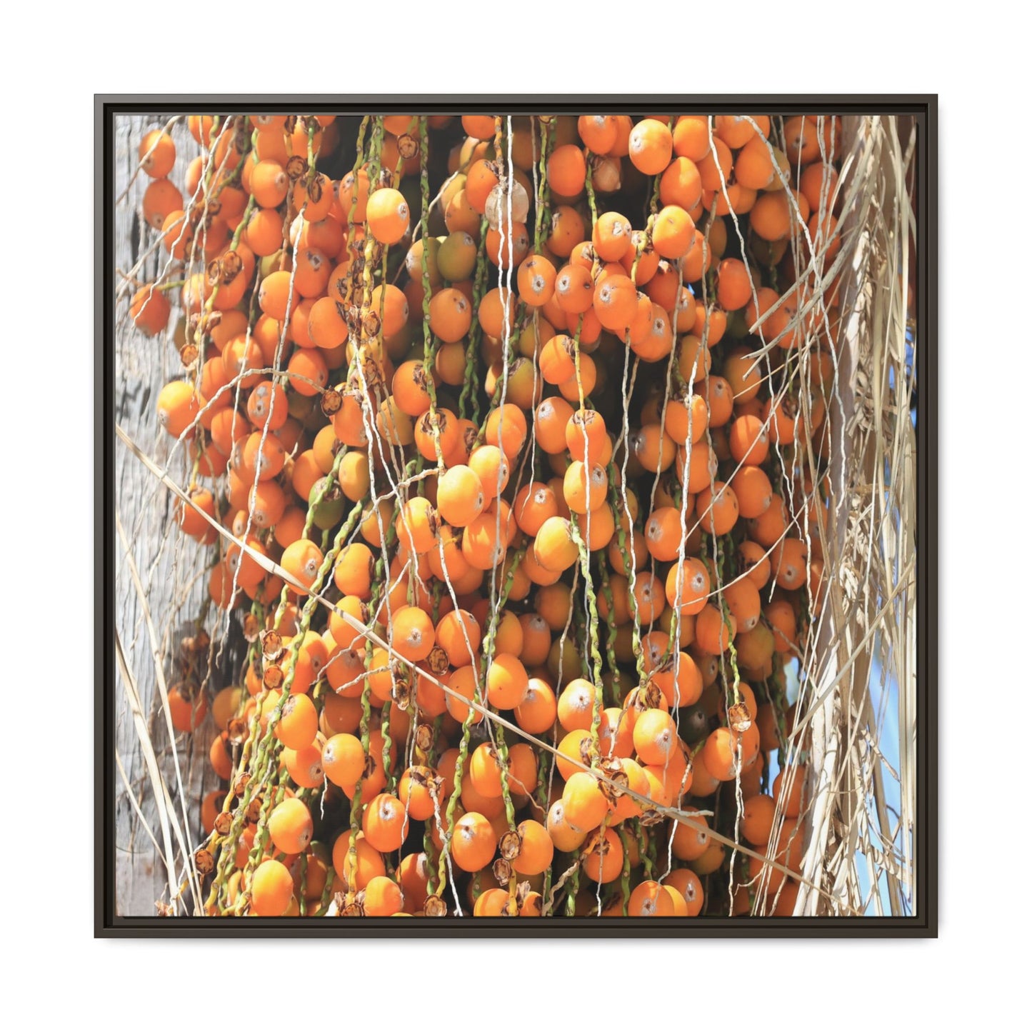 Clusters of Sunlight - Unique Canvas Wall Art