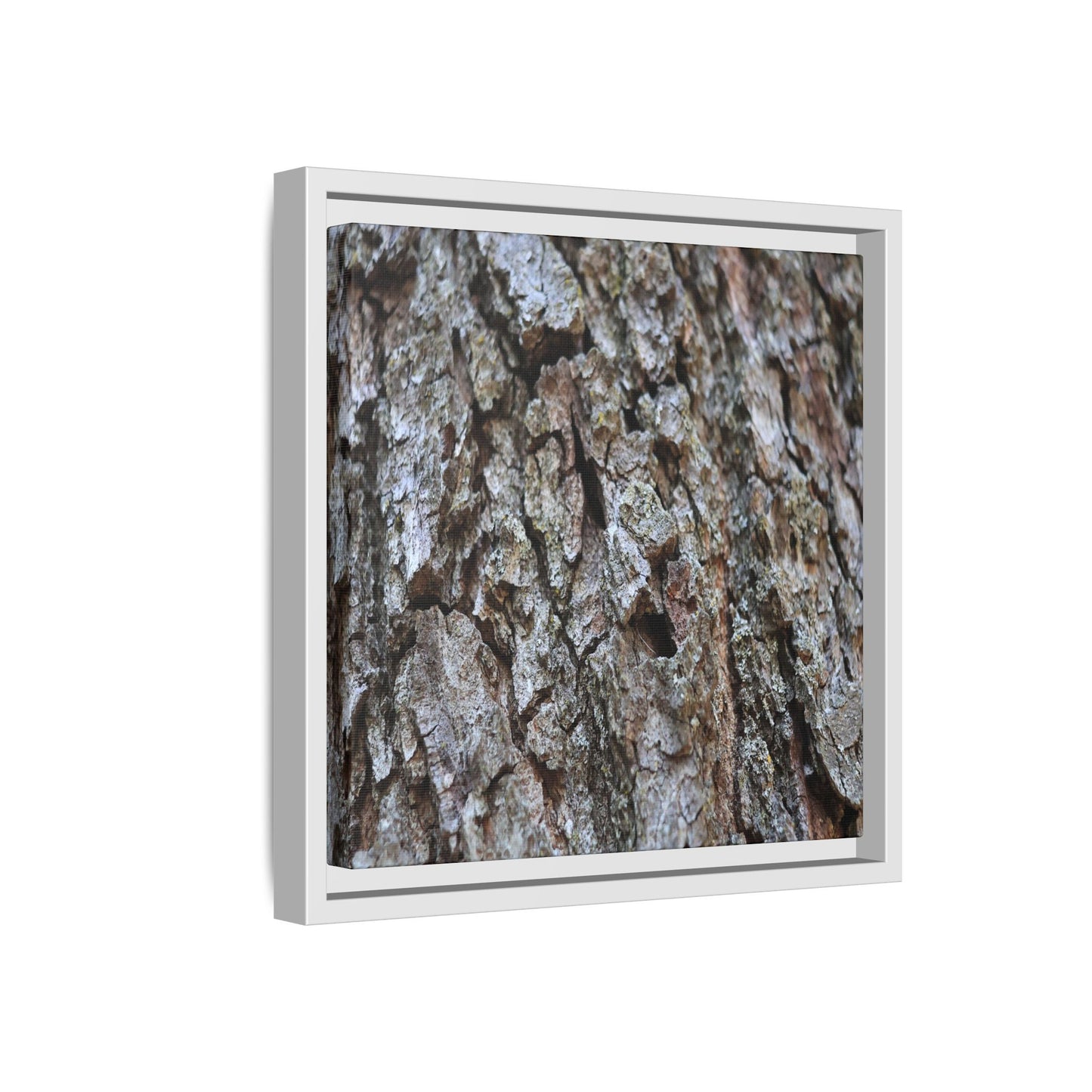 Woodland Canvas - Unique Stretched Canvas Wall Art