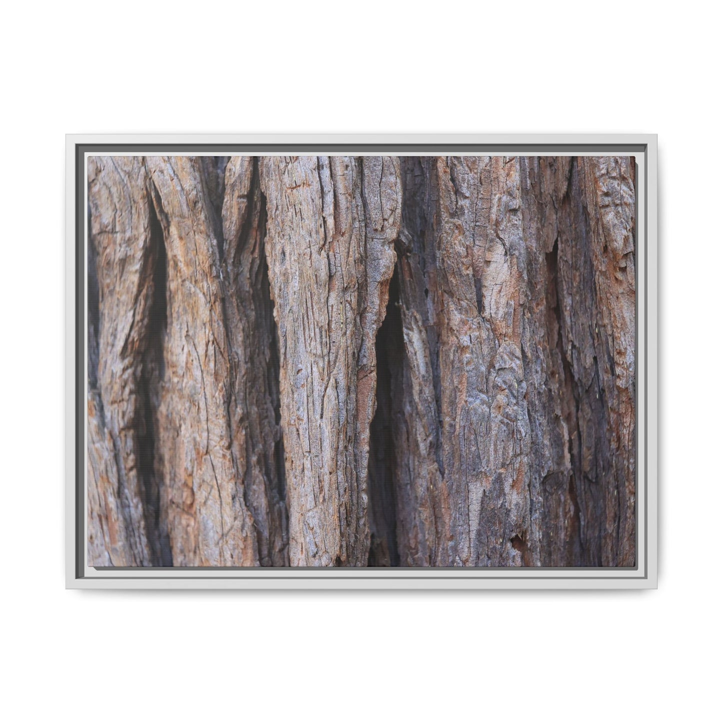 Ancient Grains - Unique Stretched Canvas Wall Art