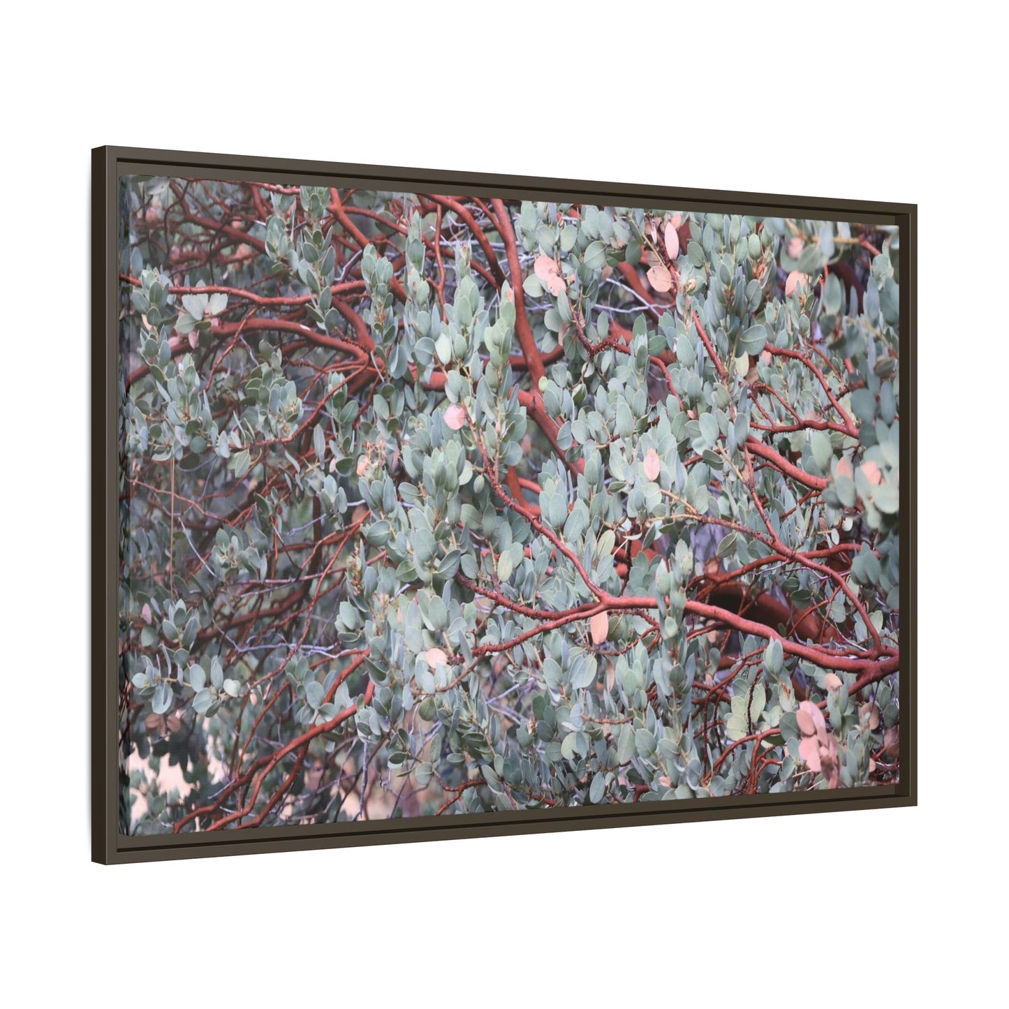 Whispers of Sage - Unique Stretched Canvas Wall Art