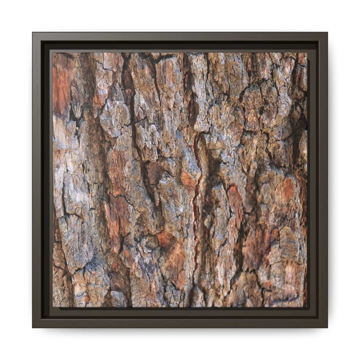 Tree's Timeworn Tale - Unique Stretched Canvas Wall Art