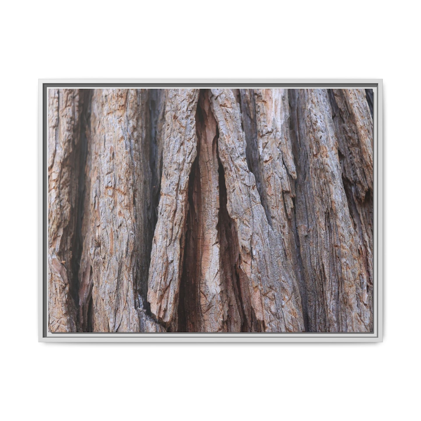 Nature's Sculpture - Unique Stretched Canvas Wall Art