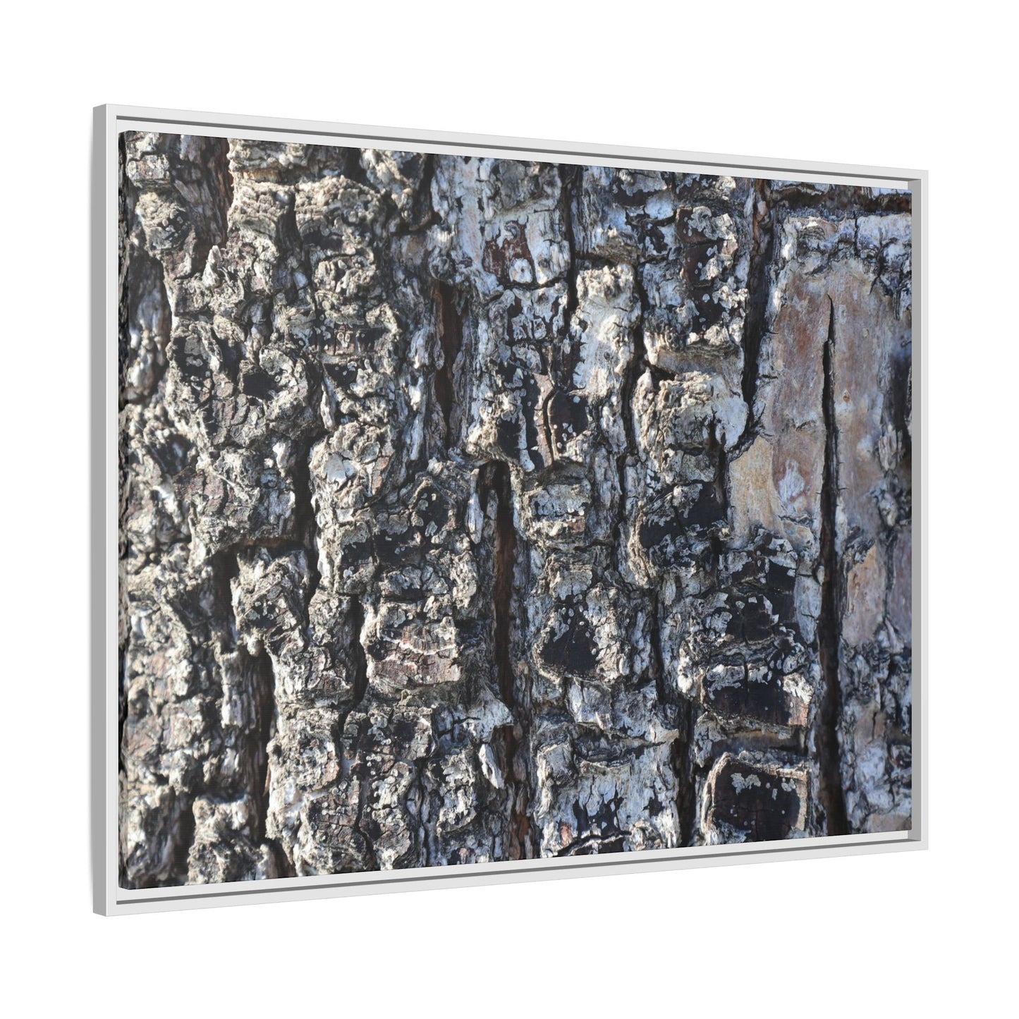 The Bark Chronicles - Unique Stretched Canvas Wall Art