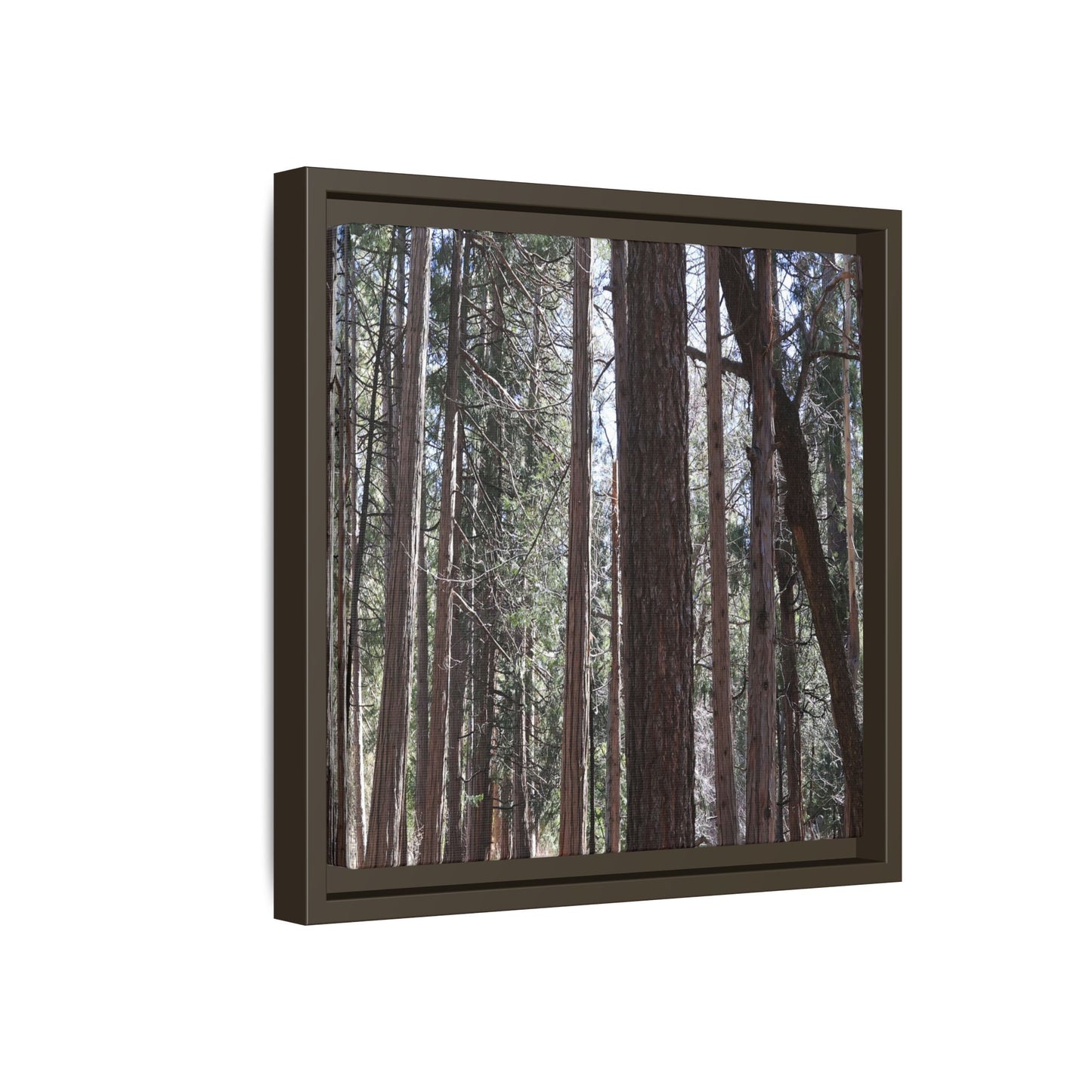 Forest Cathedral - Unique Stretched Canvas Wall Art
