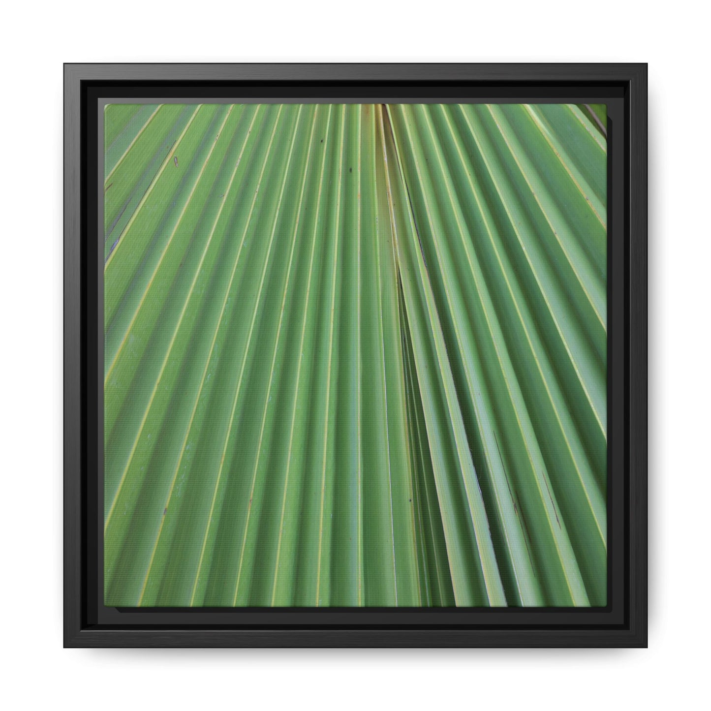 Verdant Veins - Unique Stretched Canvas Wall Art