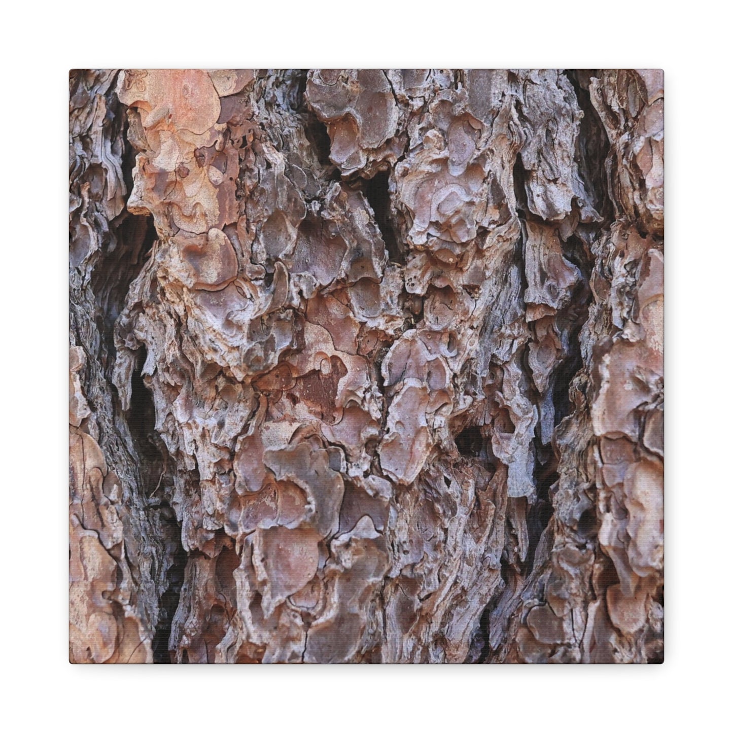 Rough Canvas - Unique Frameless Canvas Wall Art