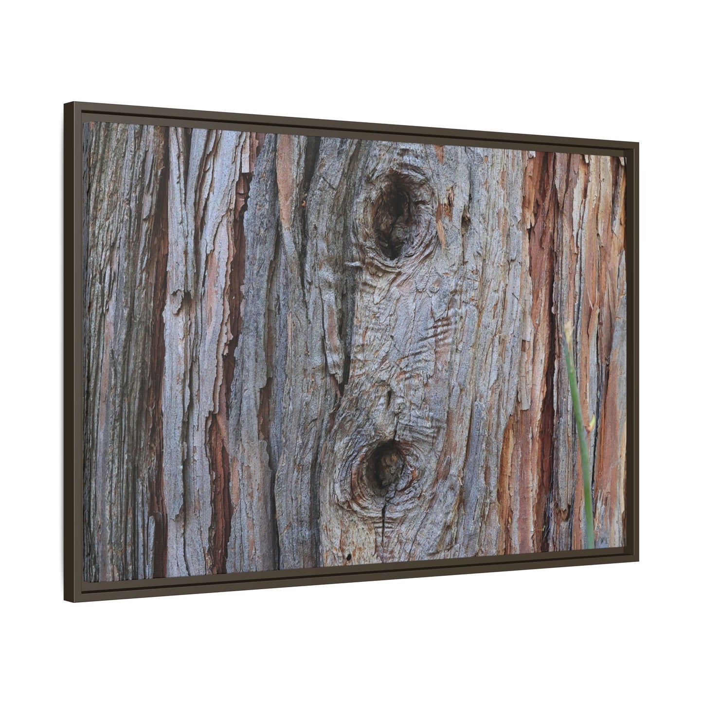 Knotty Nature - Unique Stretched Canvas Wall Art