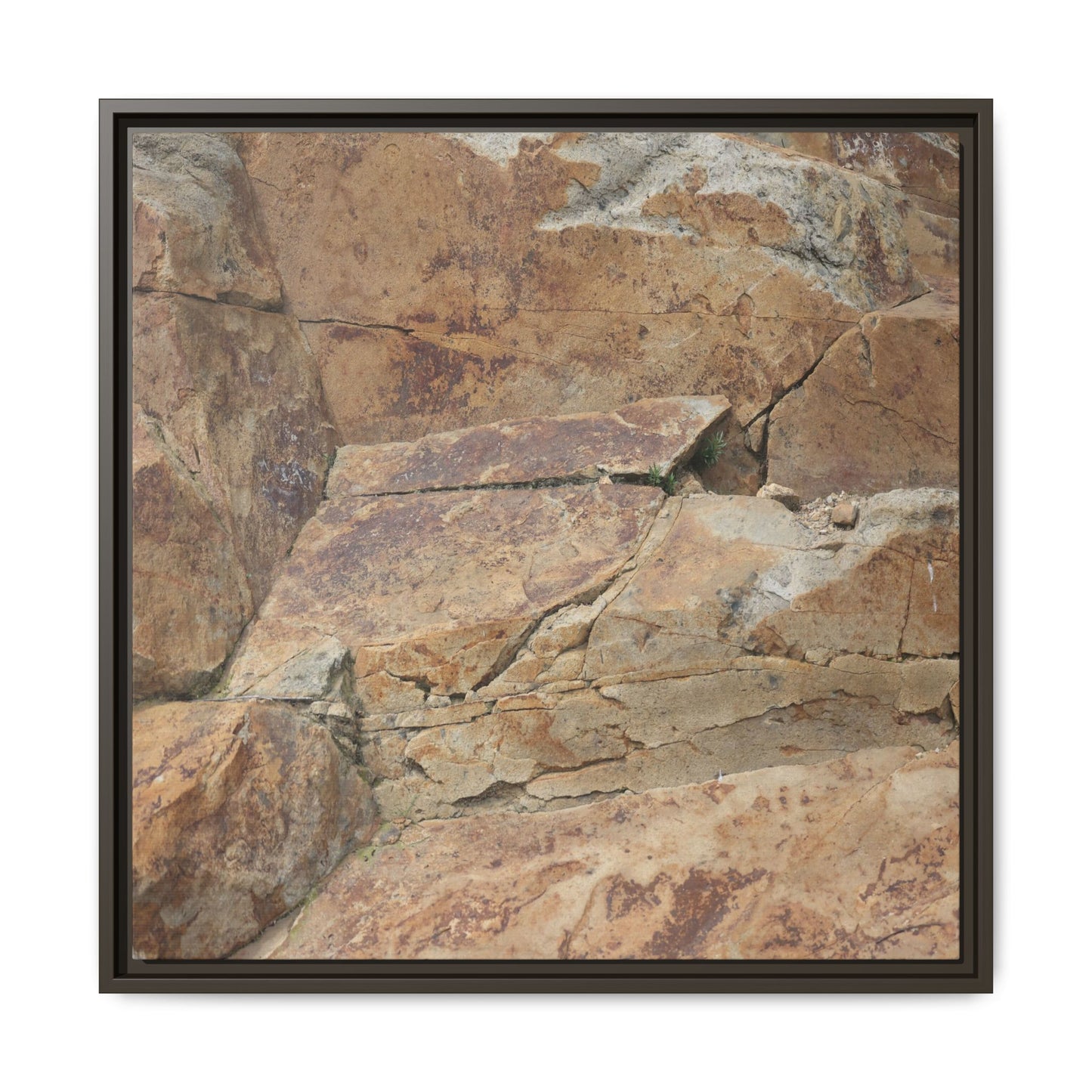 Ancient Foundations - Unique Stretched Canvas Wall Art