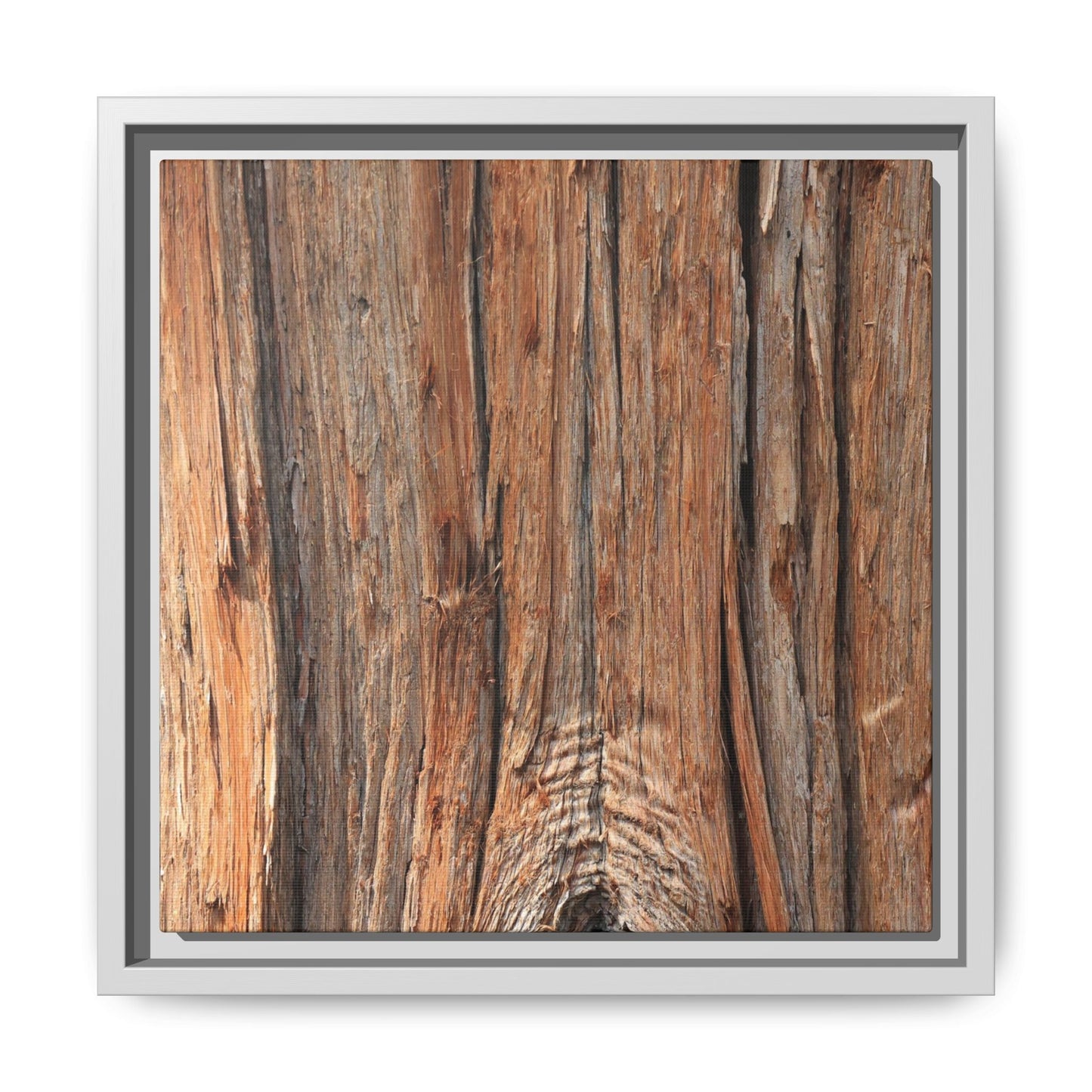Echoes of Timber - Unique Stretched Canvas Wall Art