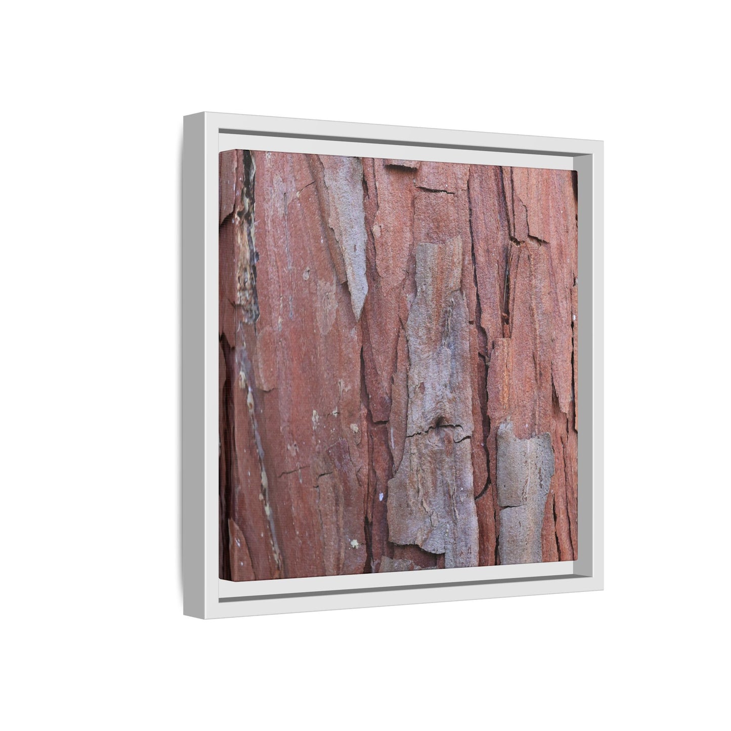 Peeling Bark - Unique Stretched Canvas Wall Art