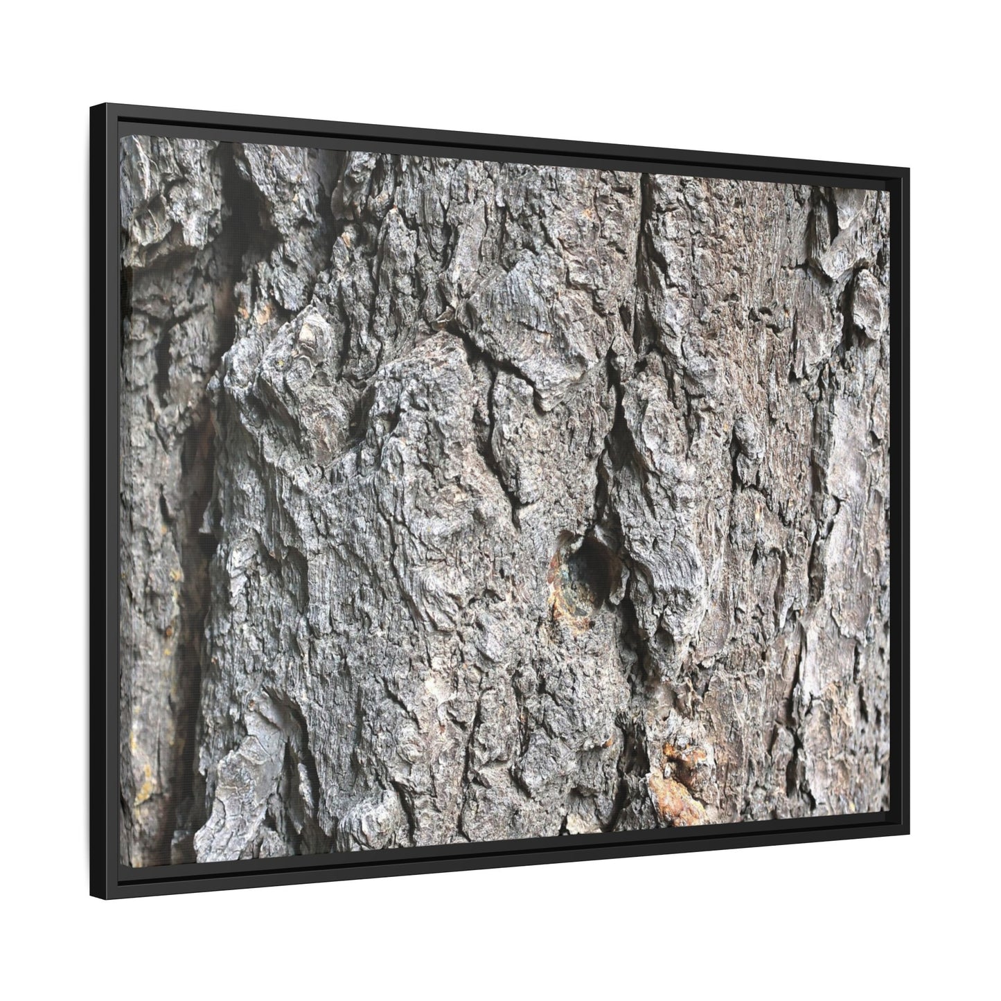 Crusty Exterior - Unique Stretched Canvas Wall Art