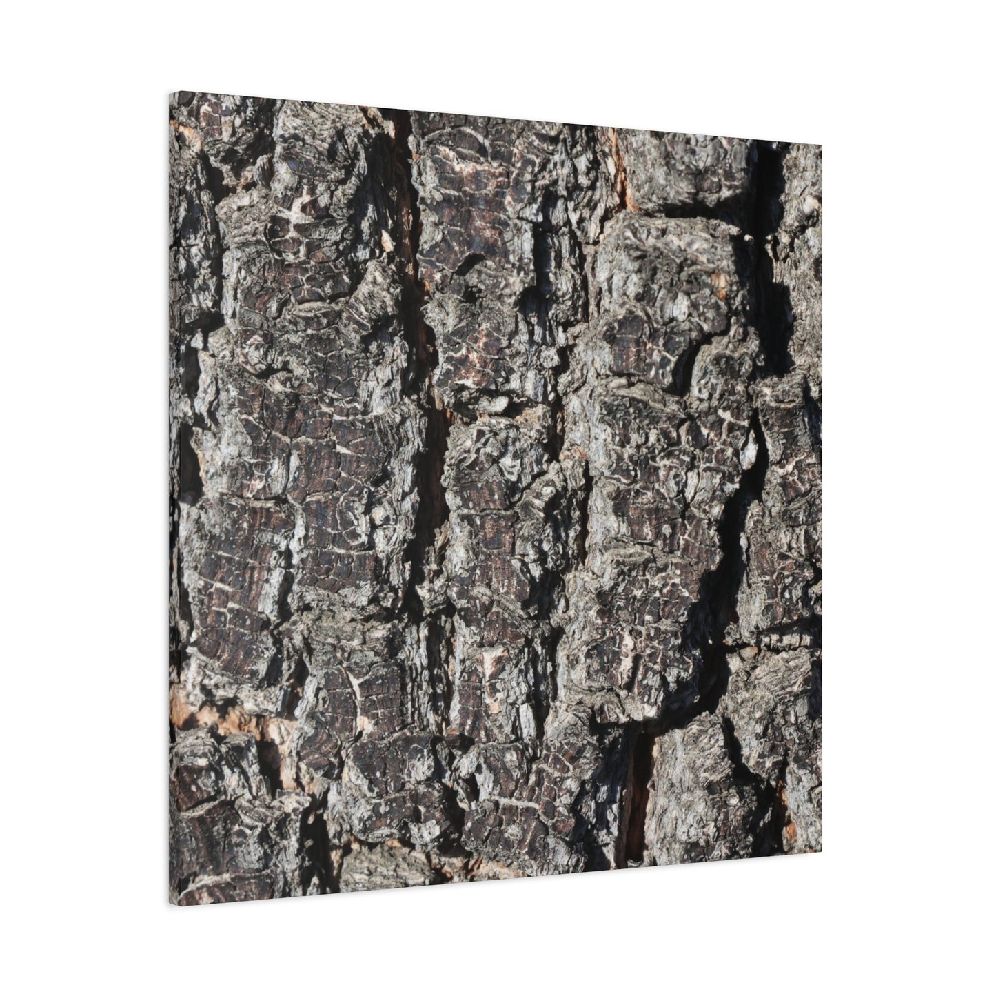Cracked Skin of Earth - Unique Frameless Canvas Wall Art
